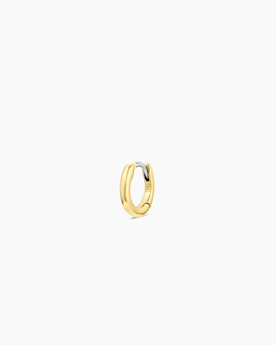 Fall 2024 Fashion Taner Single Huggie
