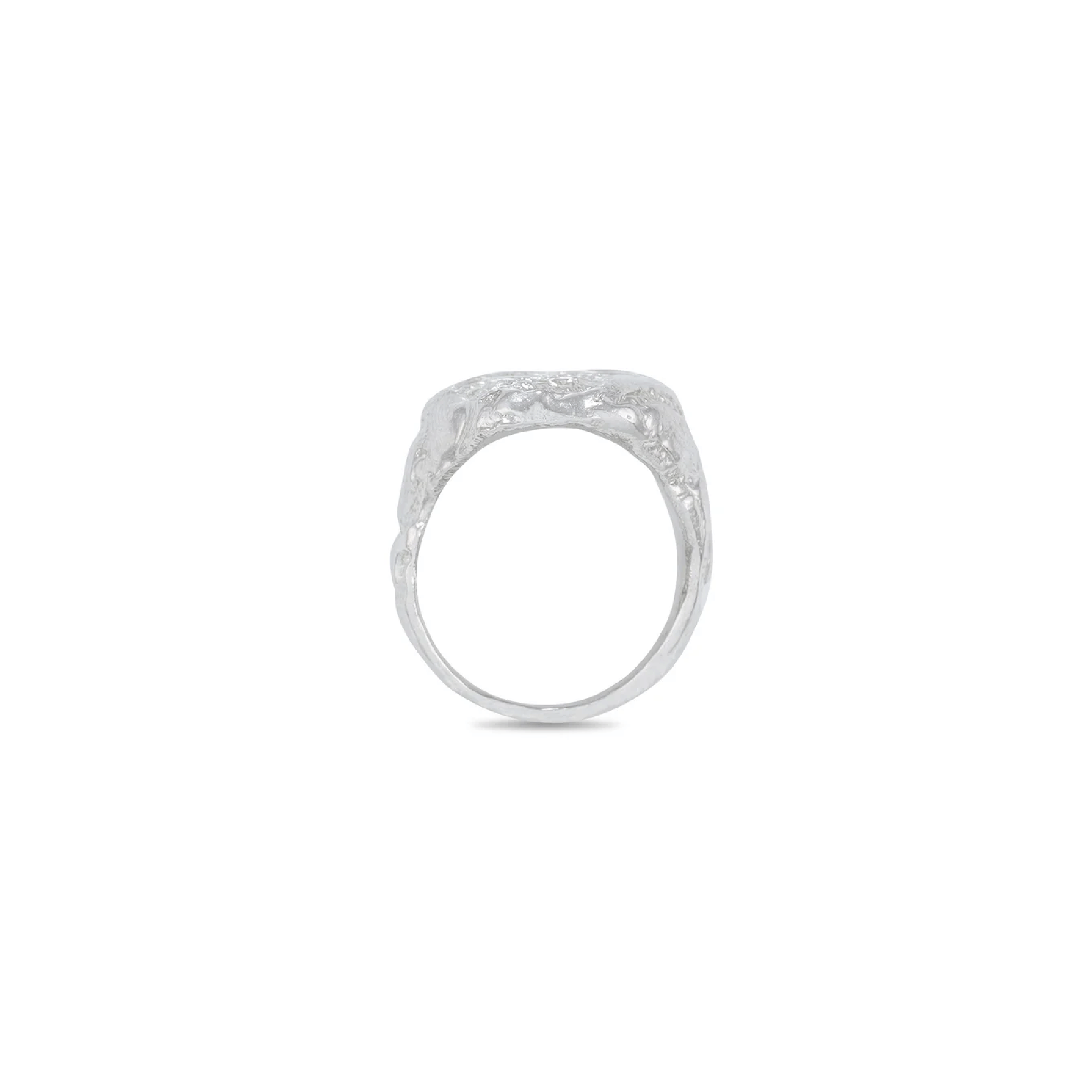 Arykai Vermithor Ring (Silver)