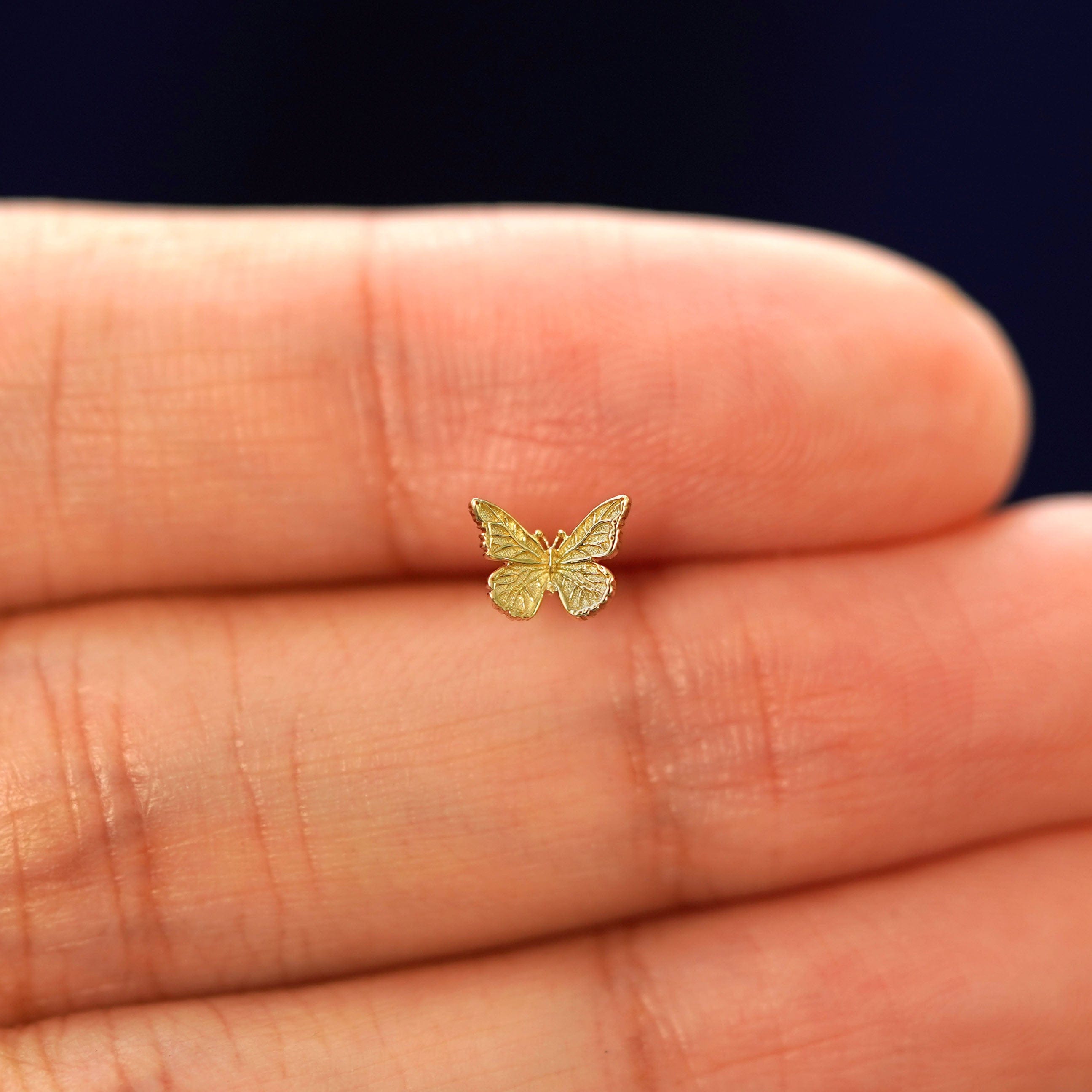 Automic Gold Studio Mini Butterfly Flatback Piercing