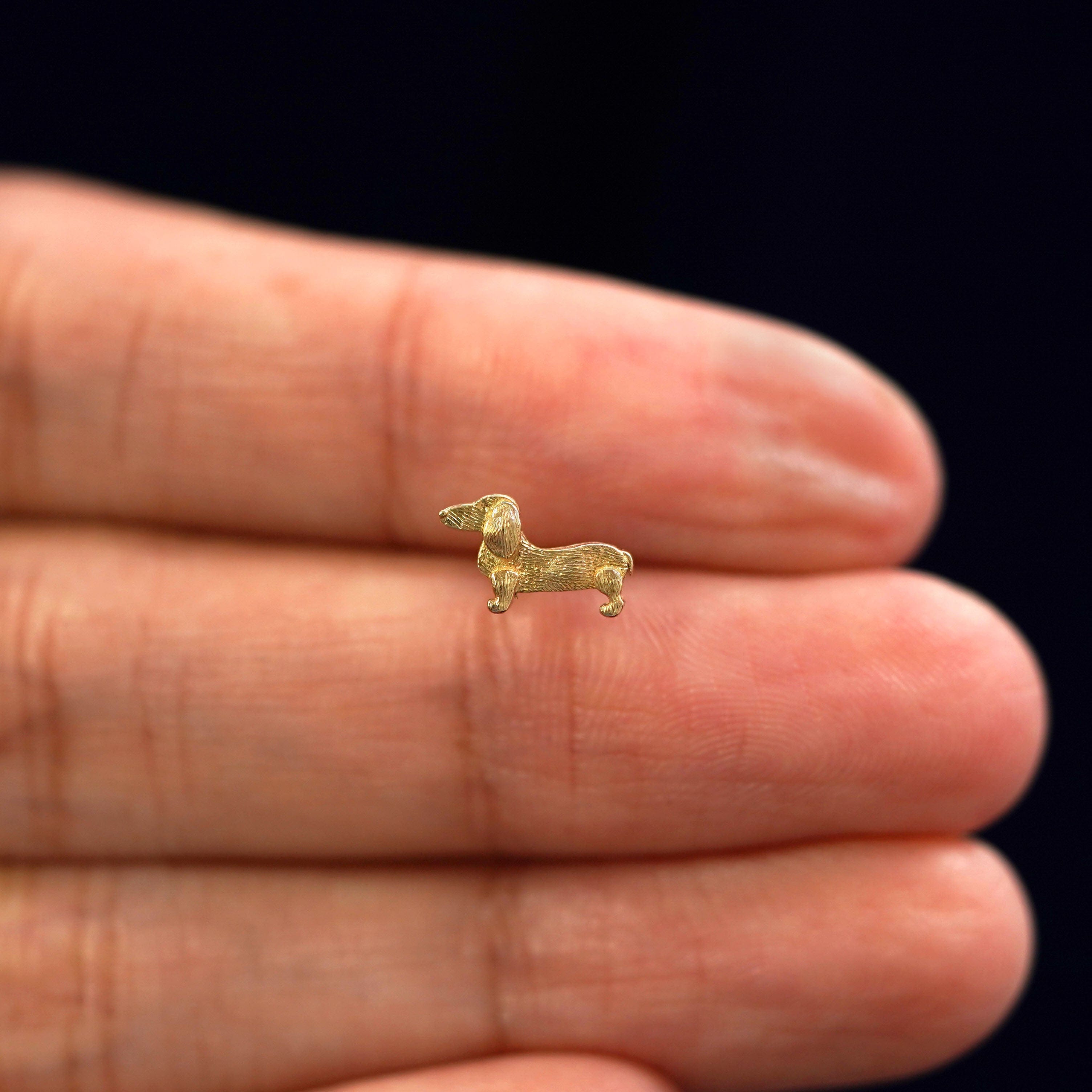 Automic Gold Studio Dog Earring