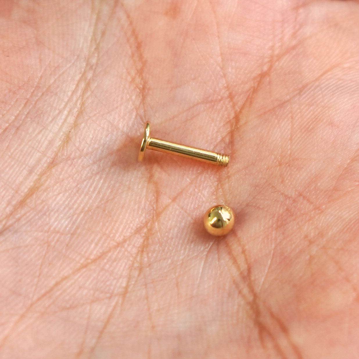 Automic Gold Studio Large Labret Piercing