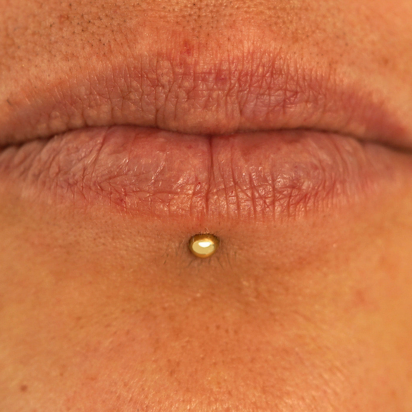 Automic Gold Studio Small Labret Piercing