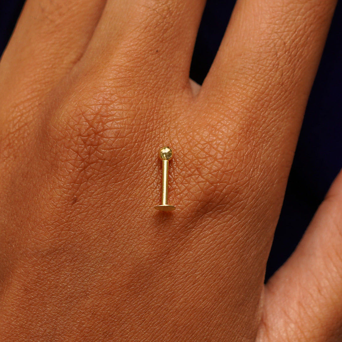 Automic Gold Studio Small Labret Piercing