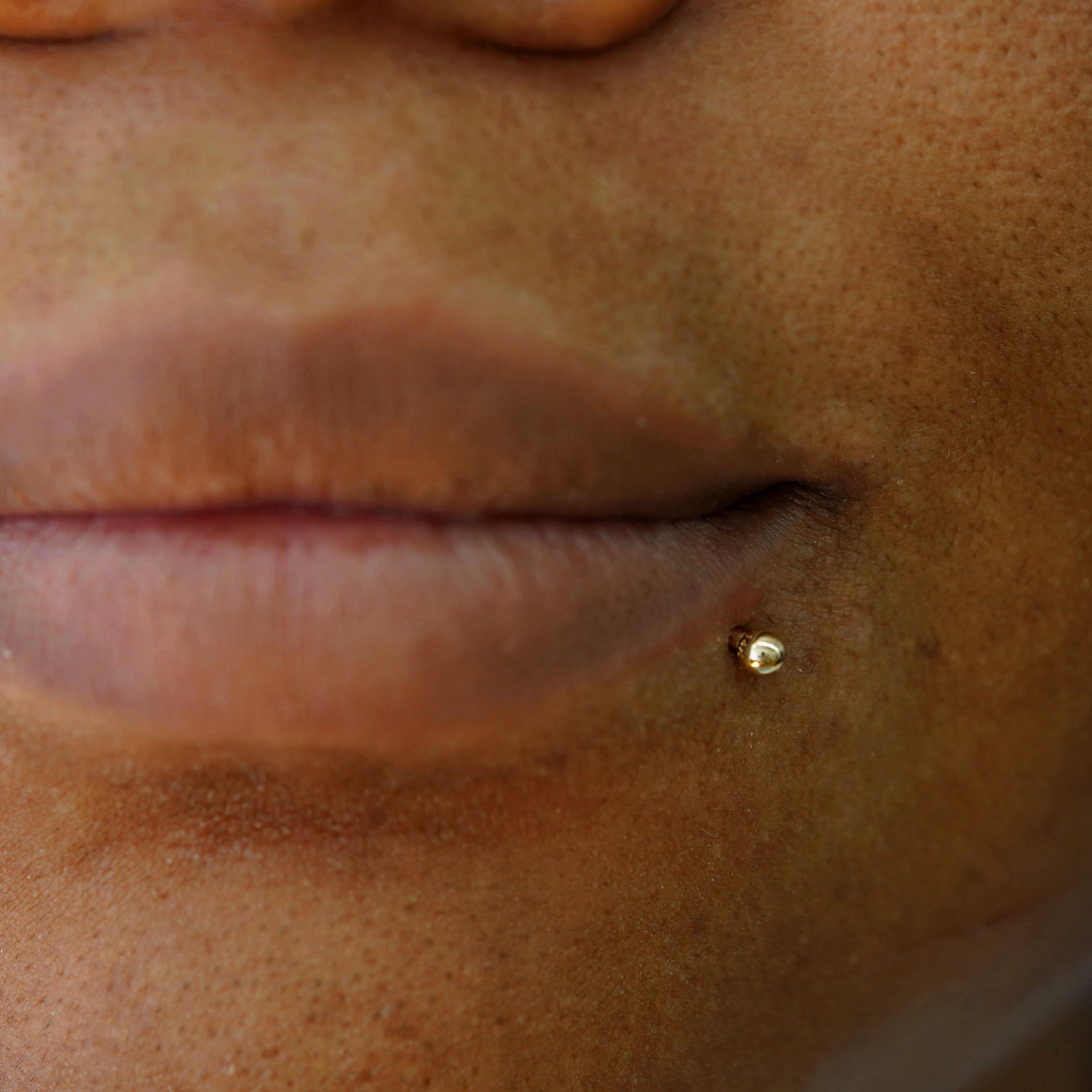 Automic Gold Studio Small Labret Piercing