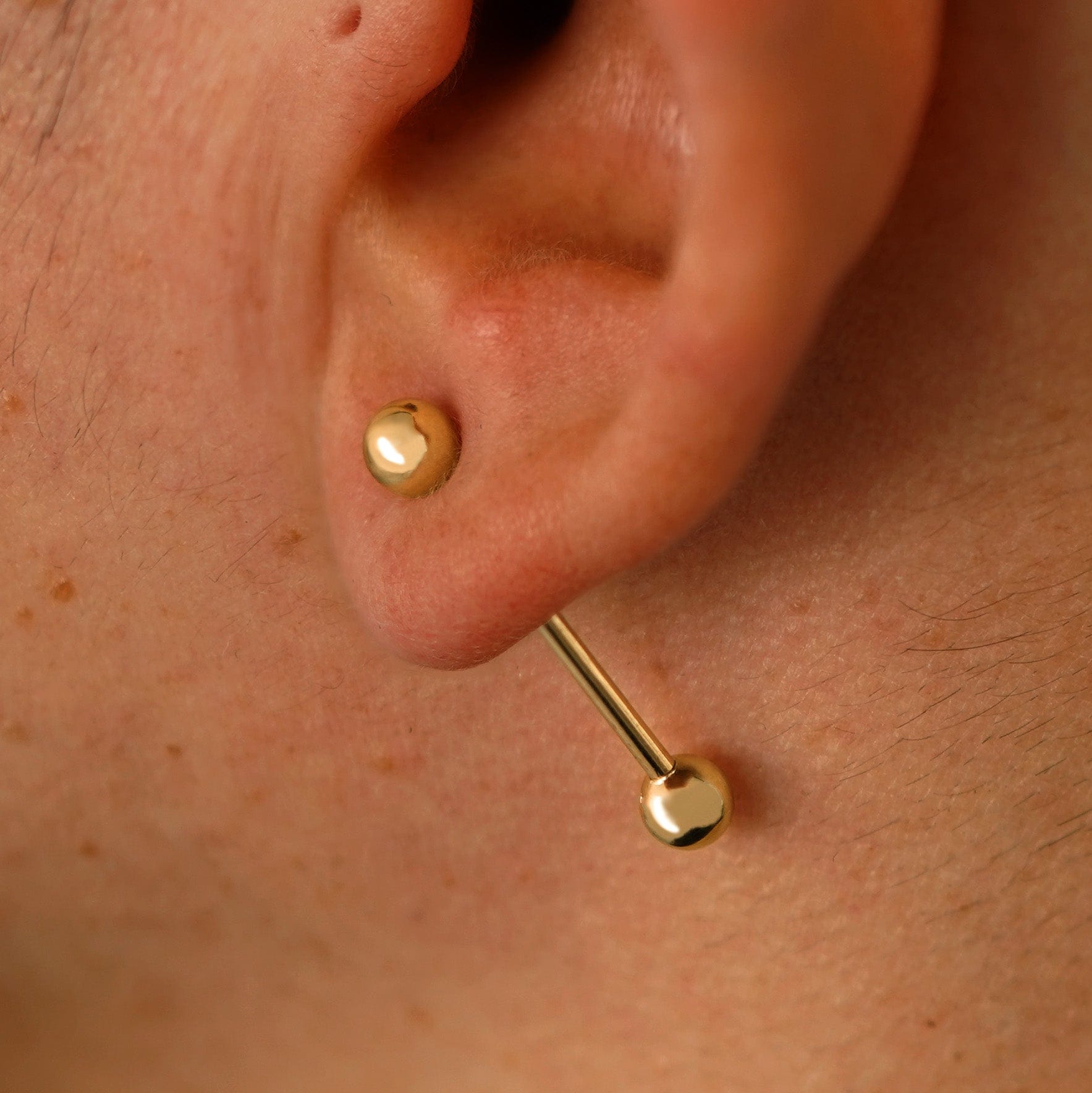 Automic Gold Studio Large Straight Barbell Piercing