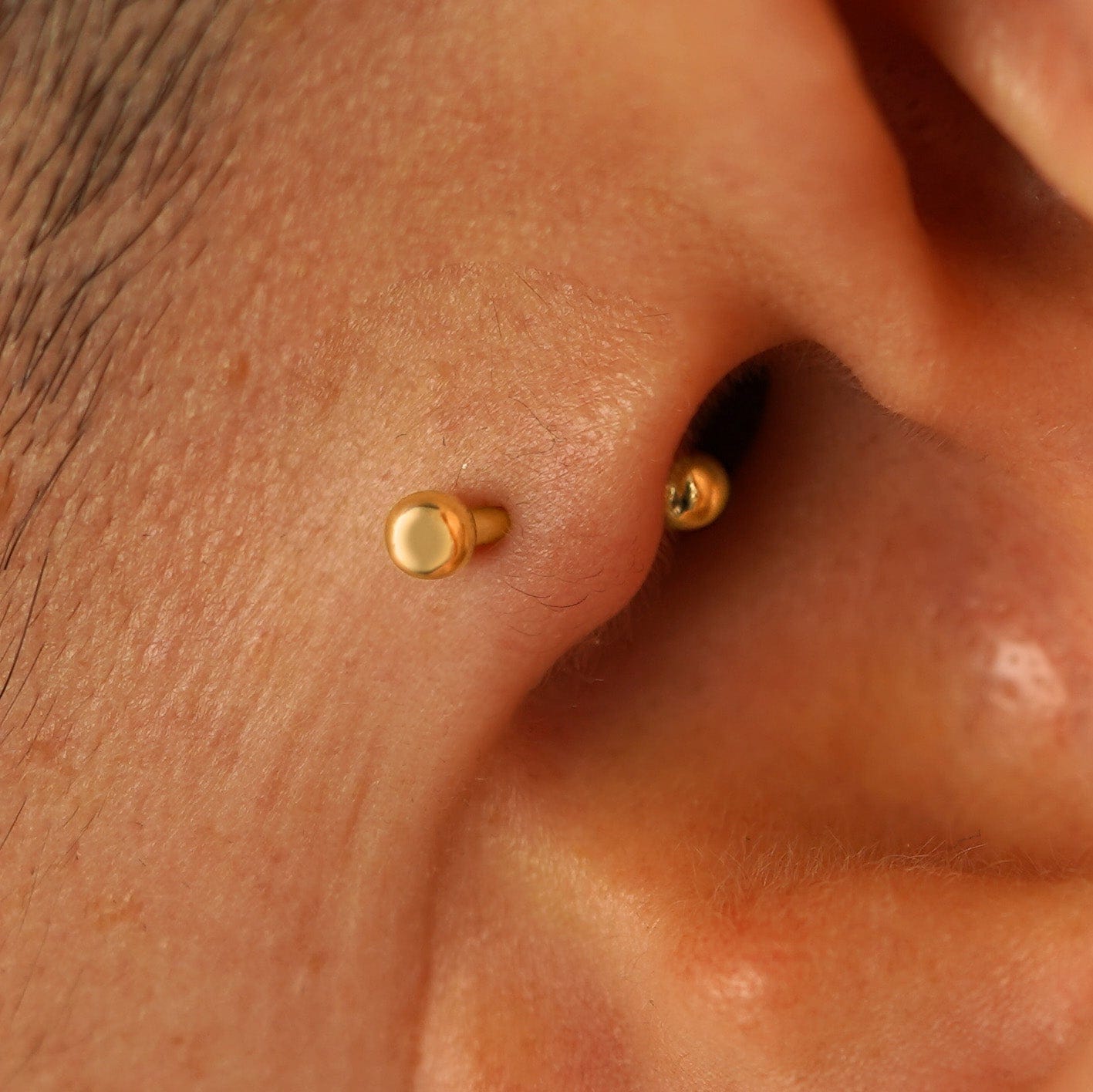 Automic Gold Studio Small Straight Barbell Piercing
