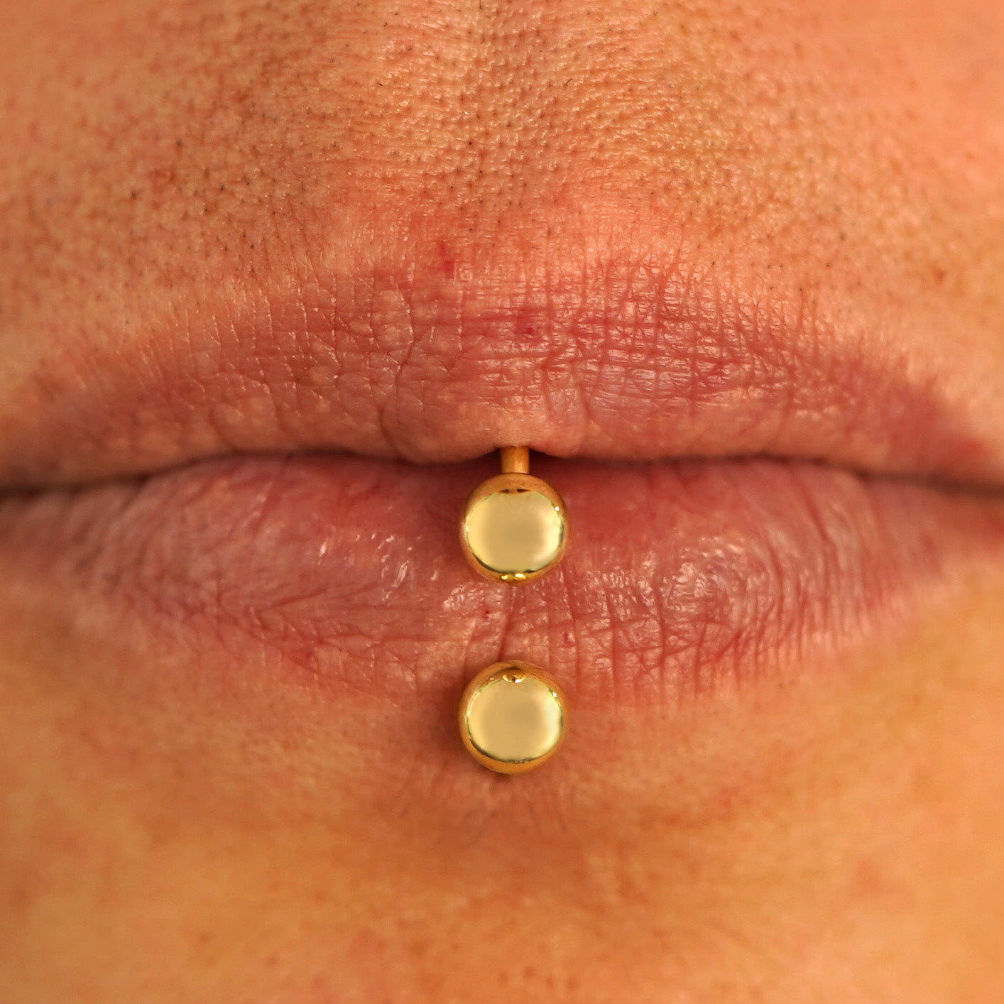 Automic Gold Studio Medium Horseshoe Piercing