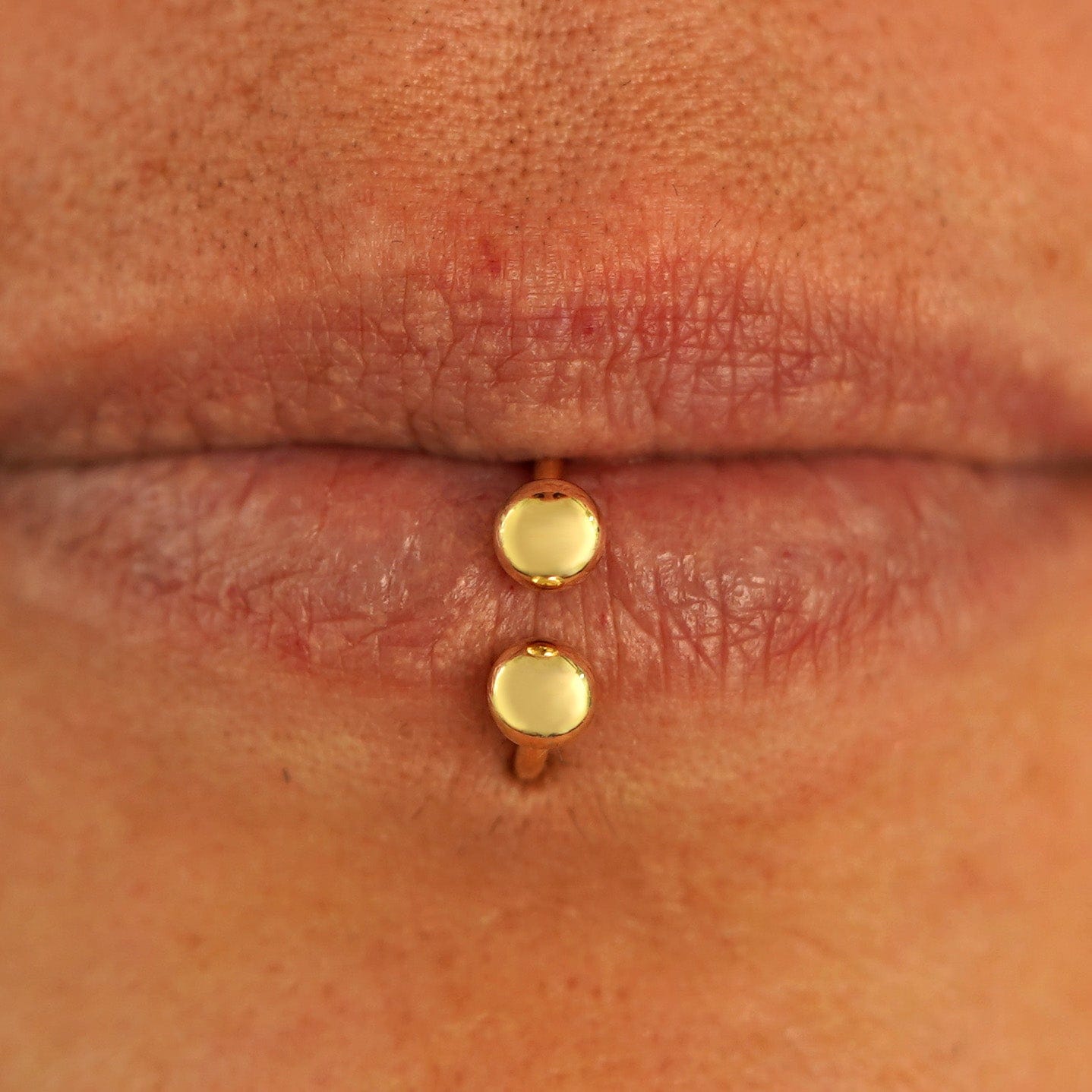 Automic Gold Studio Small Horseshoe Piercing