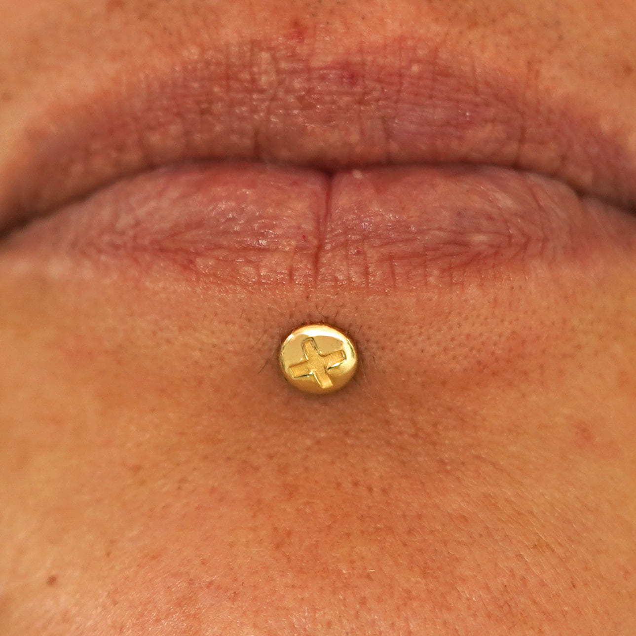 Automic Gold Studio Screw Flatback Piercing