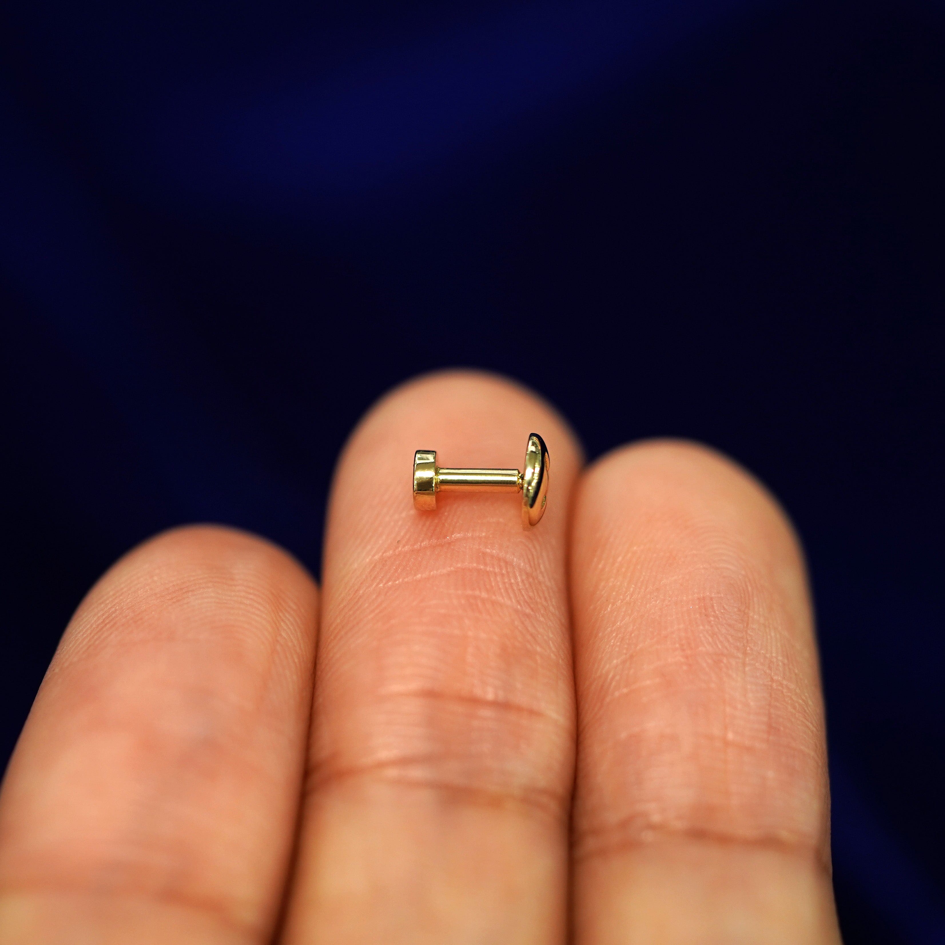 Automic Gold Studio Screw Flatback Piercing