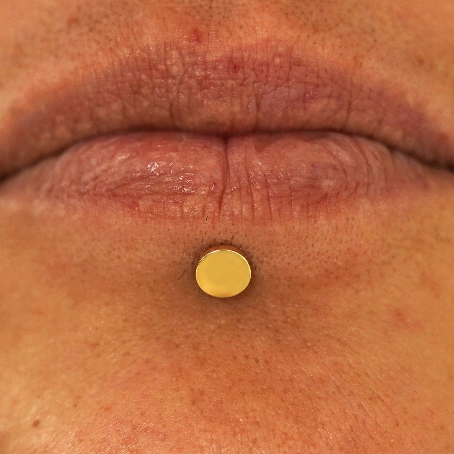 Automic Gold Studio Large Circle Flatback Piercing