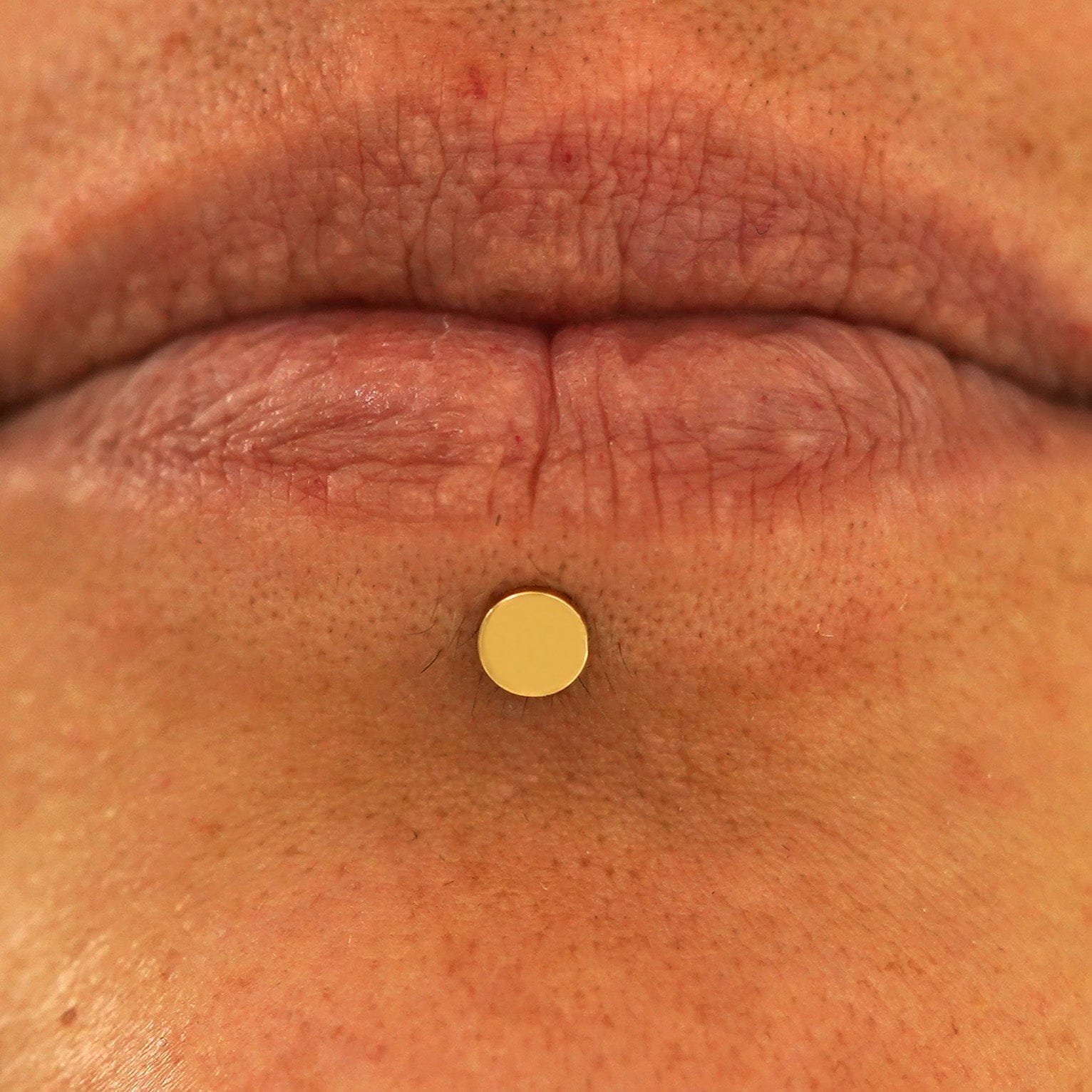 Automic Gold Studio Medium Circle Flatback Piercing