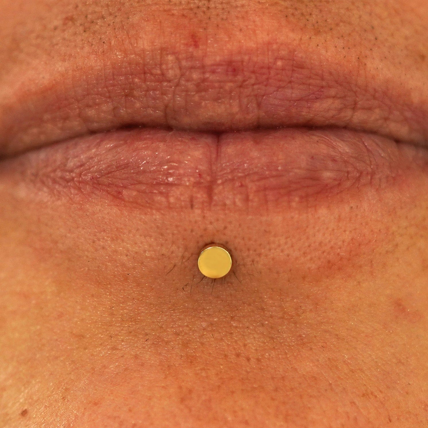 Automic Gold Studio Small Circle Flatback Piercing