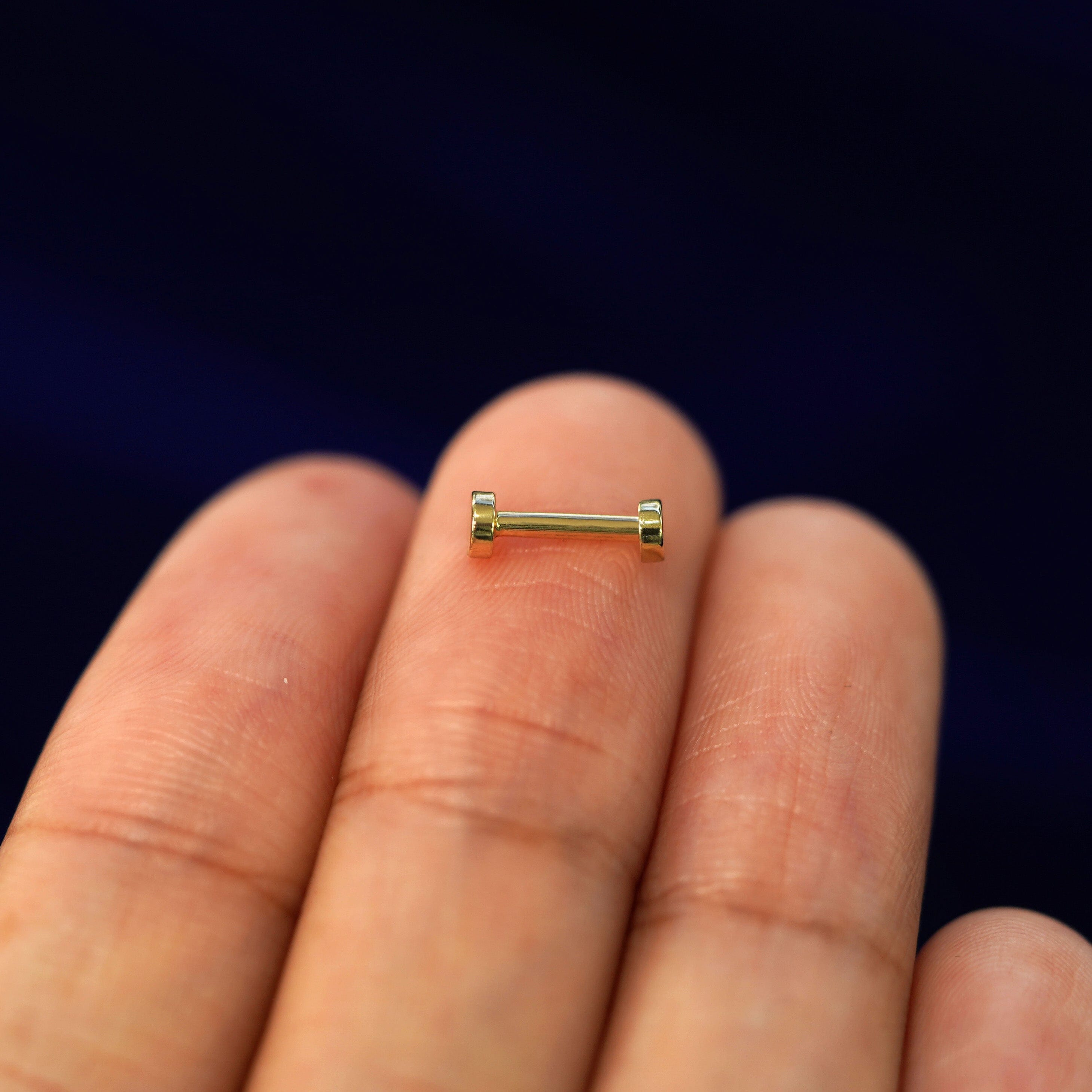 Automic Gold Studio Small Circle Flatback Piercing