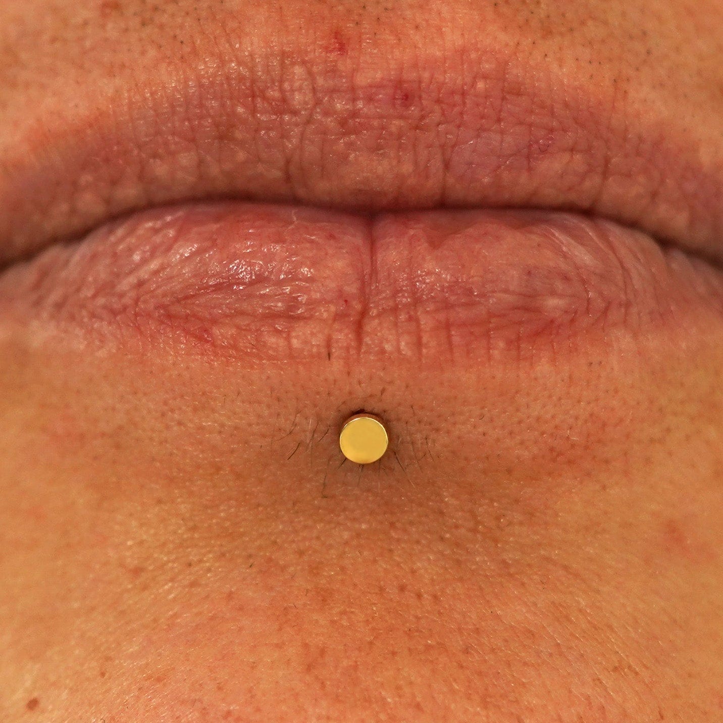 Automic Gold Studio Mini Circle Flatback Piercing