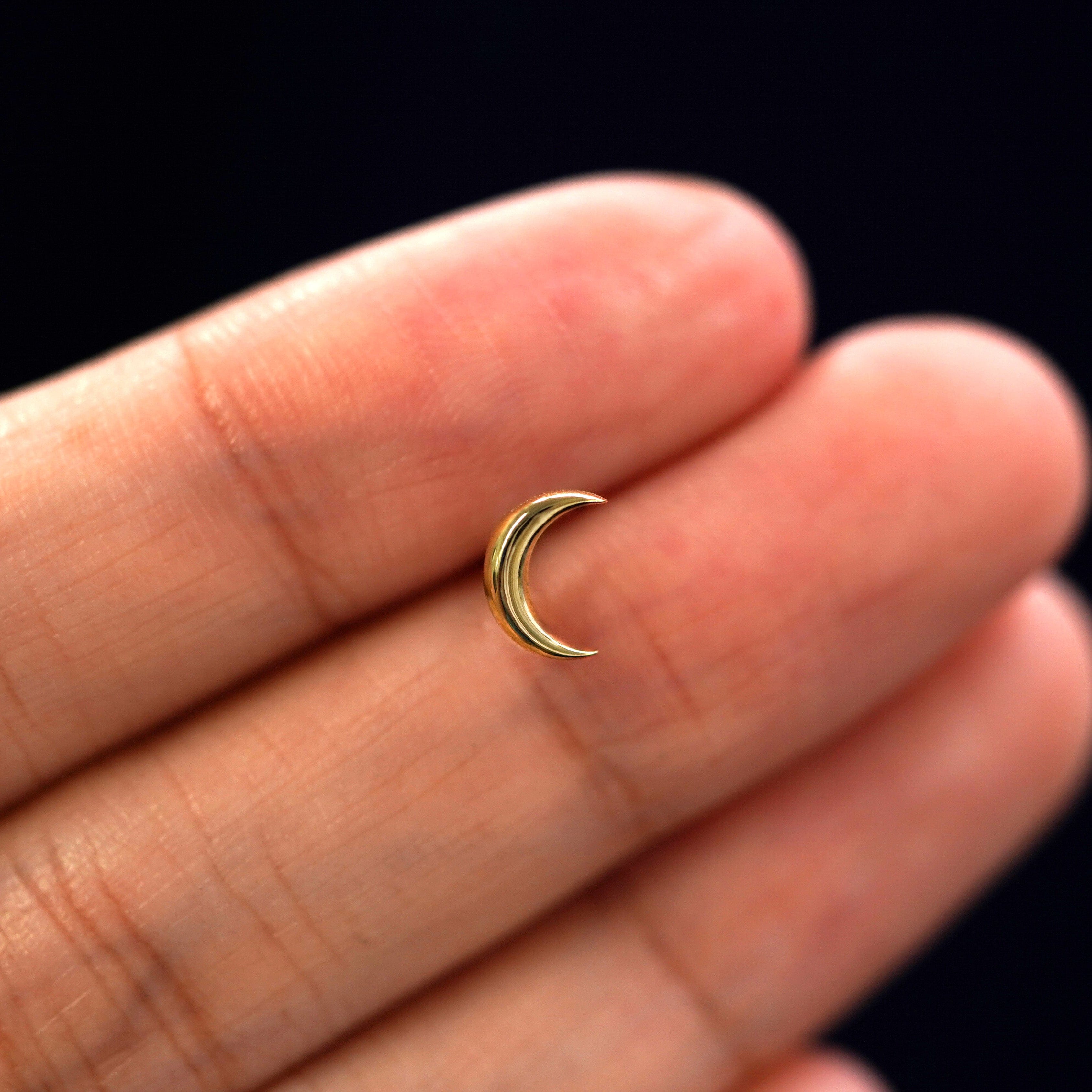 Automic Gold Studio Moon Earring