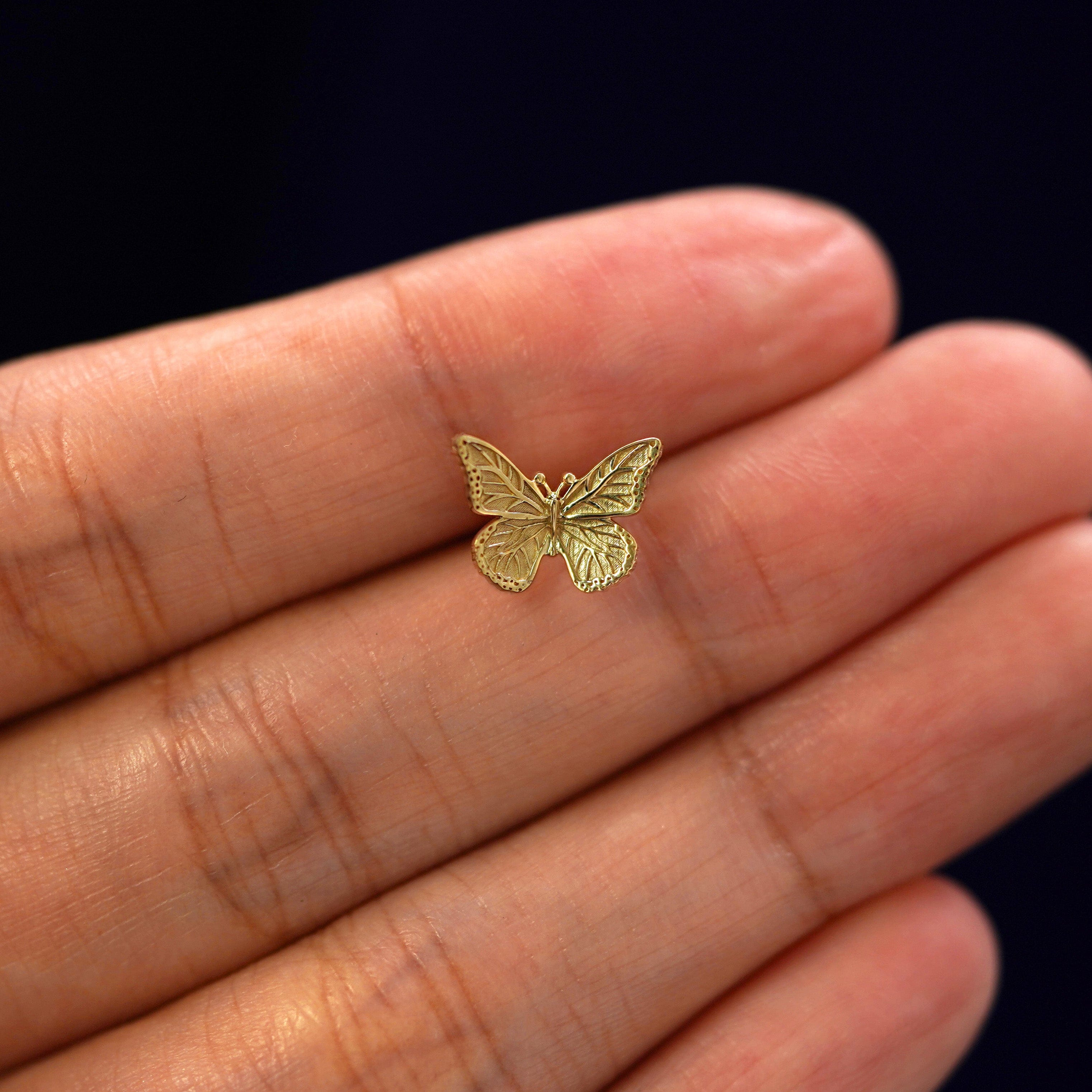Automic Gold Studio Butterfly Earring