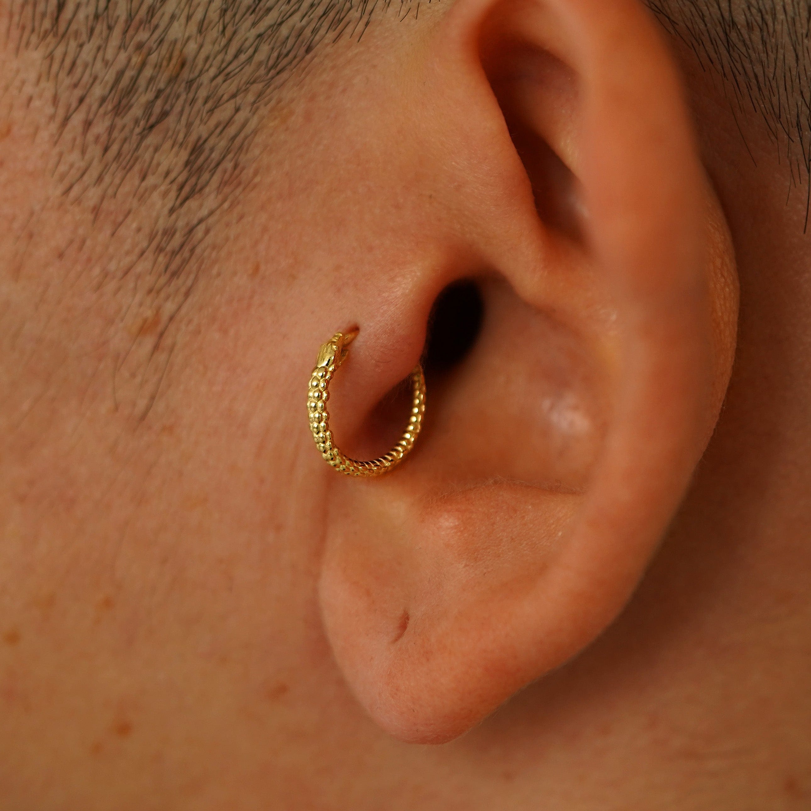 Automic Gold Studio Snake Hoop / Piercing