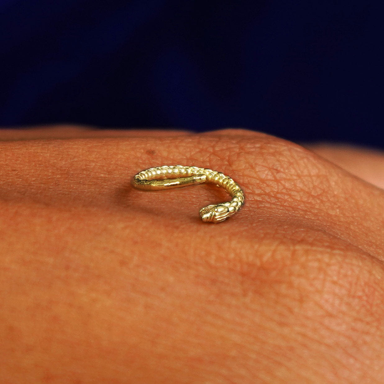 Automic Gold Studio Snake Hoop / Piercing