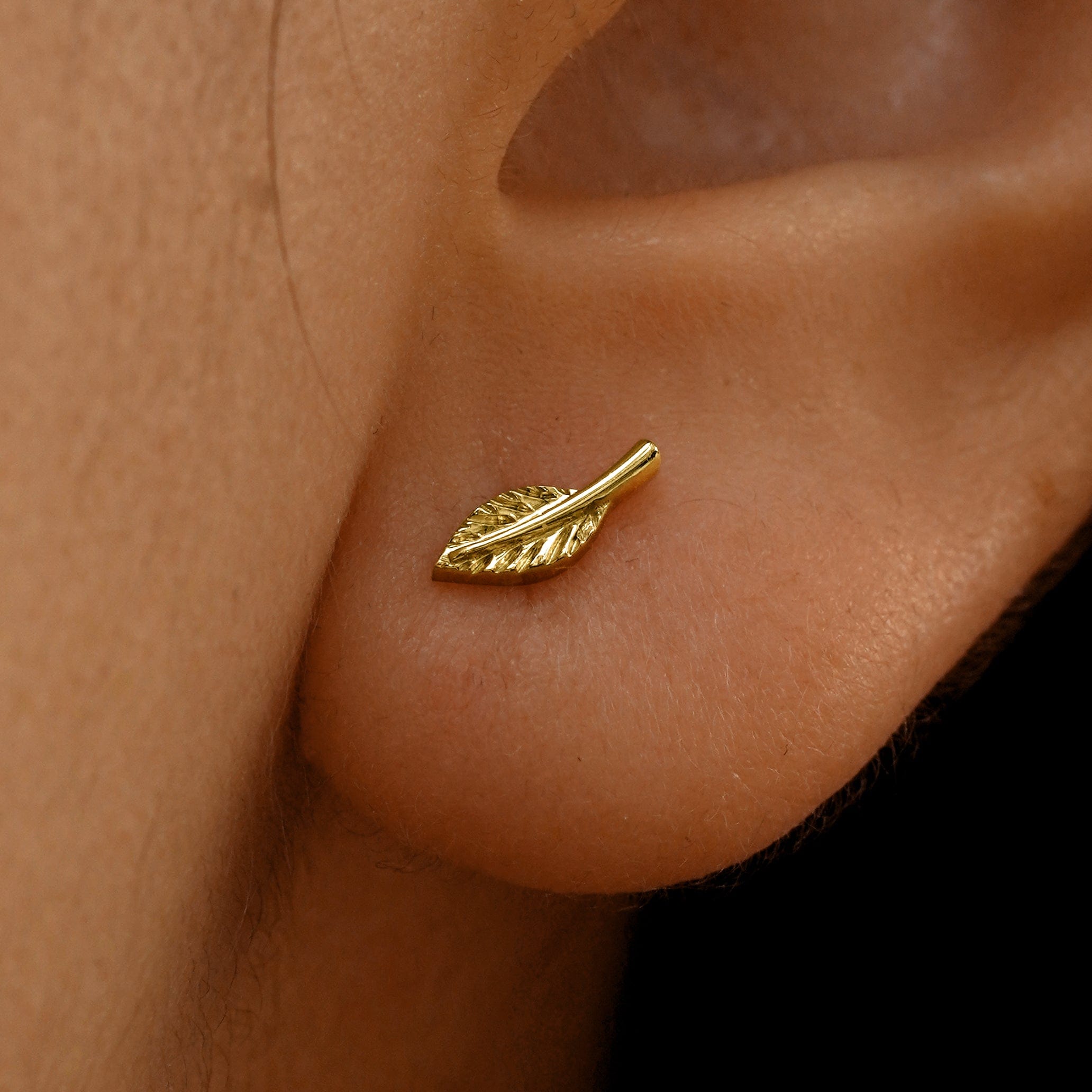 Automic Gold Studio Leaf Earring