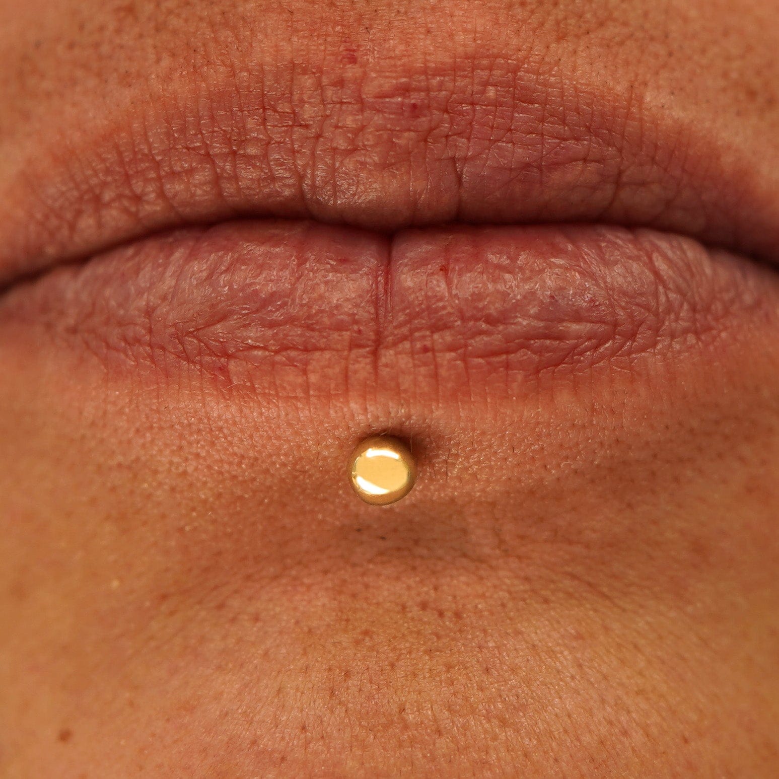 Automic Gold Studio Medium Ball Flatback Piercing