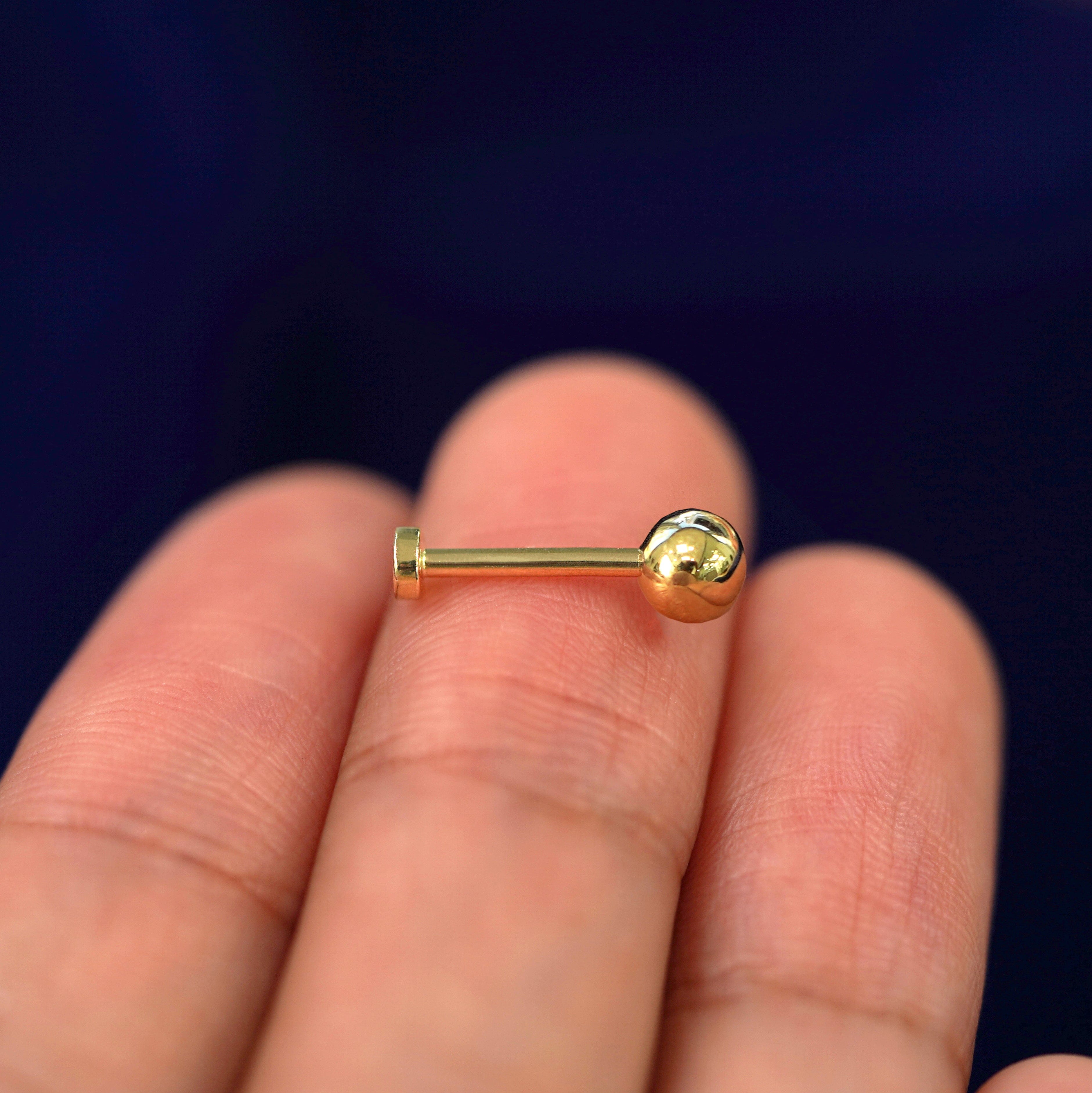 Automic Gold Studio Medium Ball Flatback Piercing