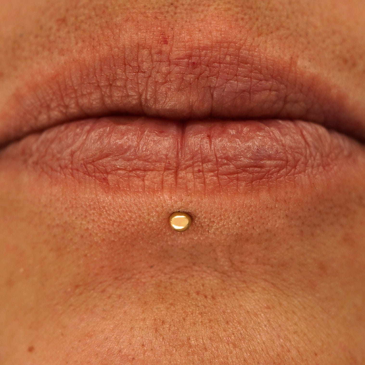 Automic Gold Studio Small Ball Flatback Piercing