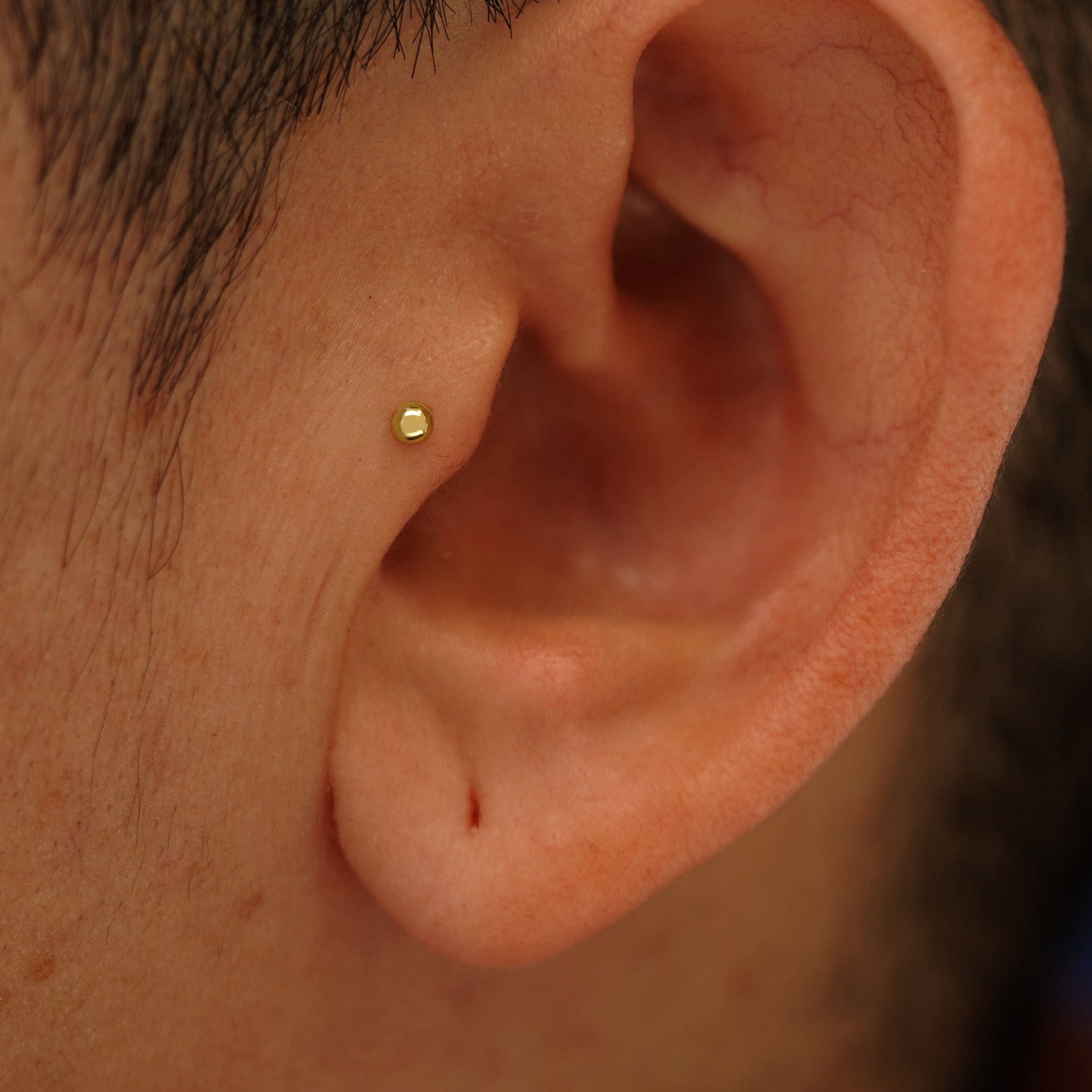 Automic Gold Studio Small Ball Flatback Piercing