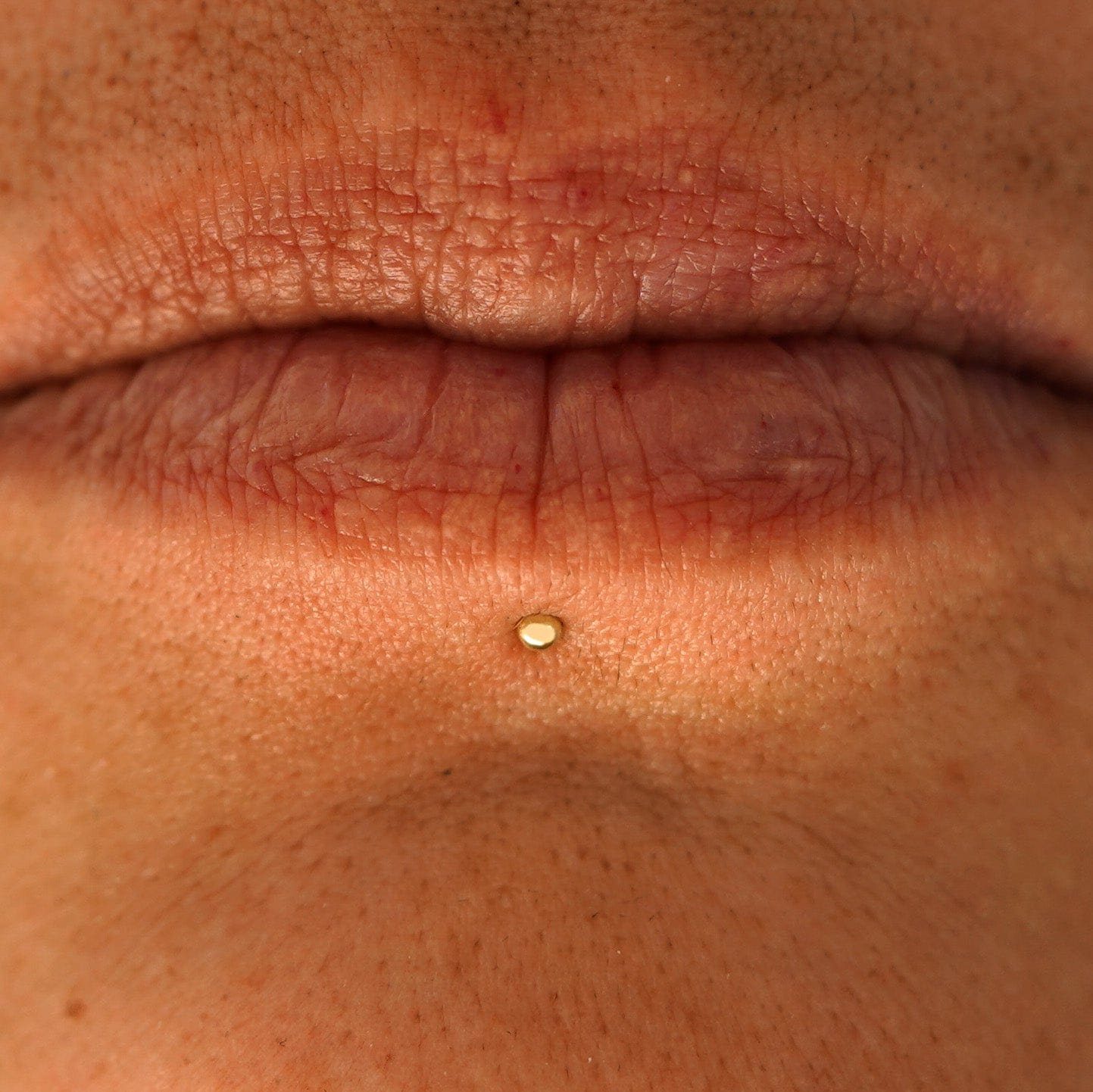 Automic Gold Studio Mini Ball Flatback Piercing