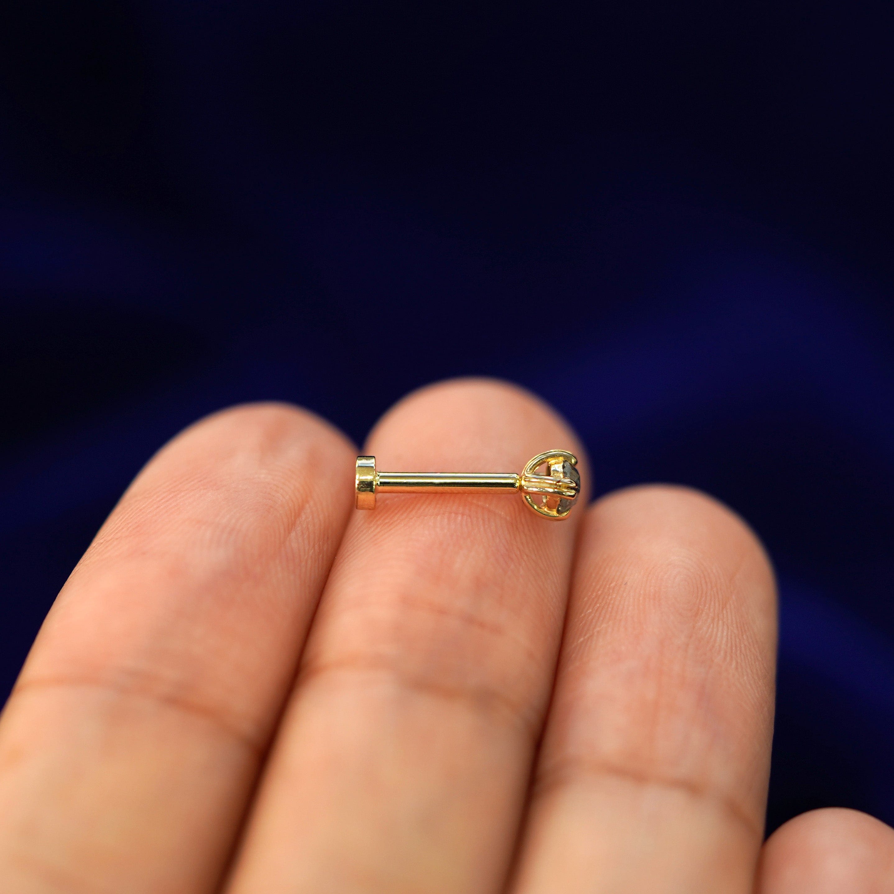 Automic Gold Studio Salt and Pepper Diamond Flatback Piercing