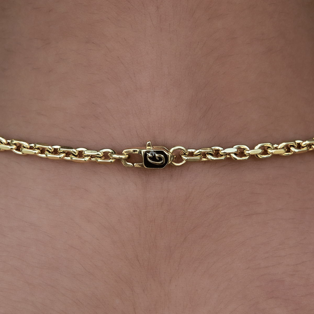 GLD PROMO - WOMEN 3.6 mm Open Box Chain Necklace - Yellow Gold