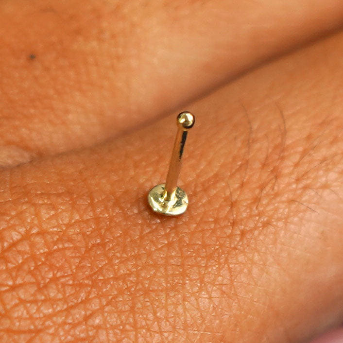 Automic Gold Studio Circle Nose Stud