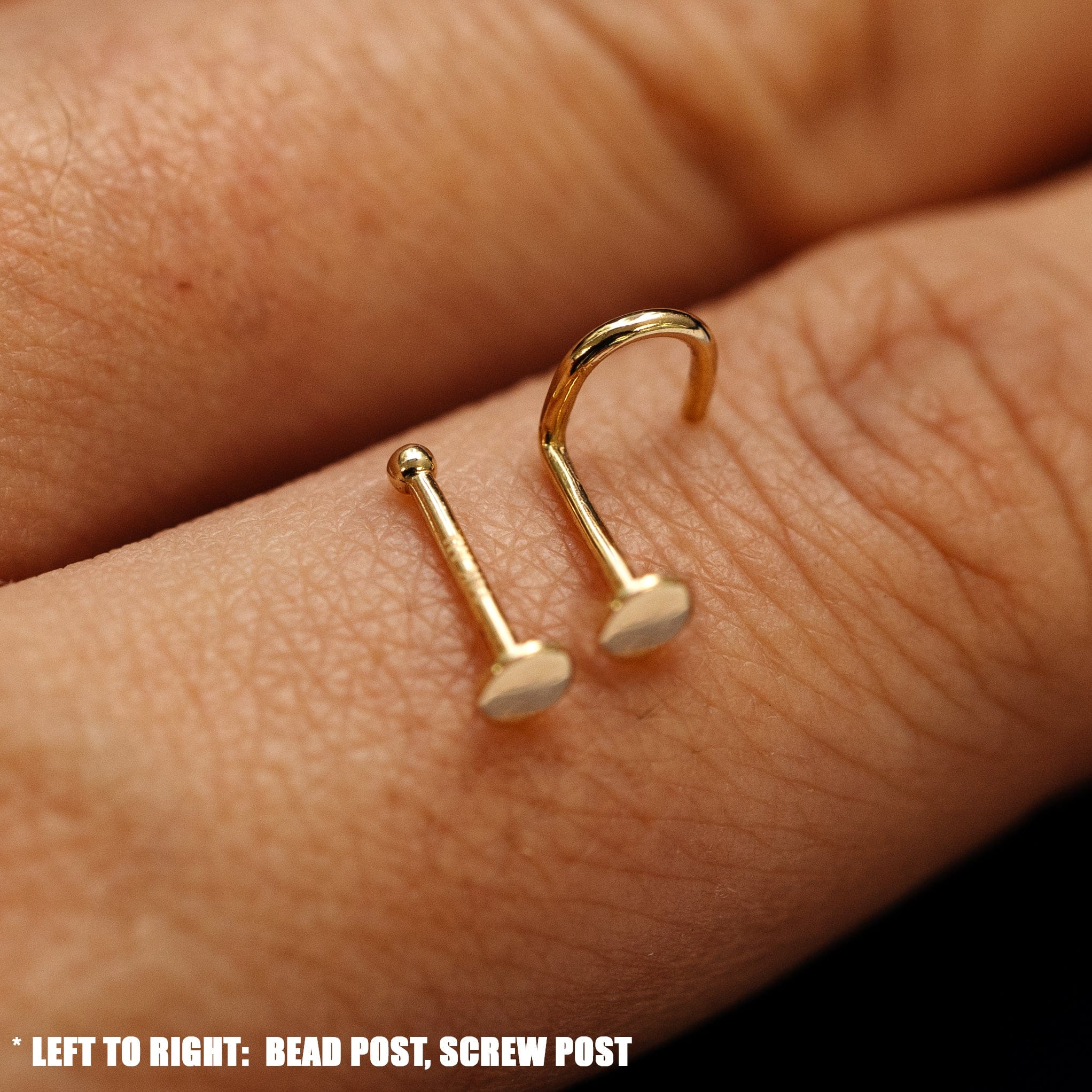 Automic Gold Studio Circle Nose Stud