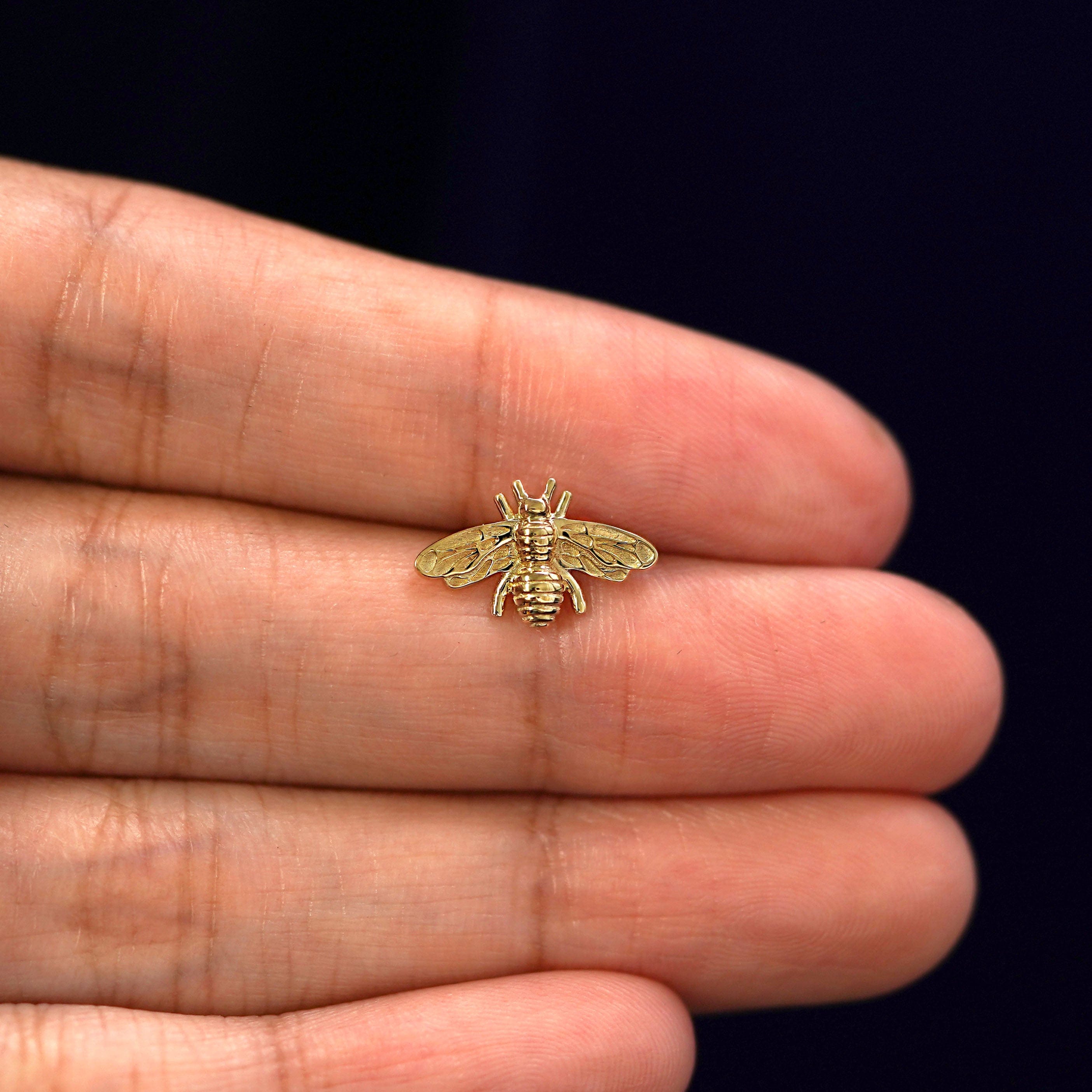 Automic Gold Studio Bee Earring