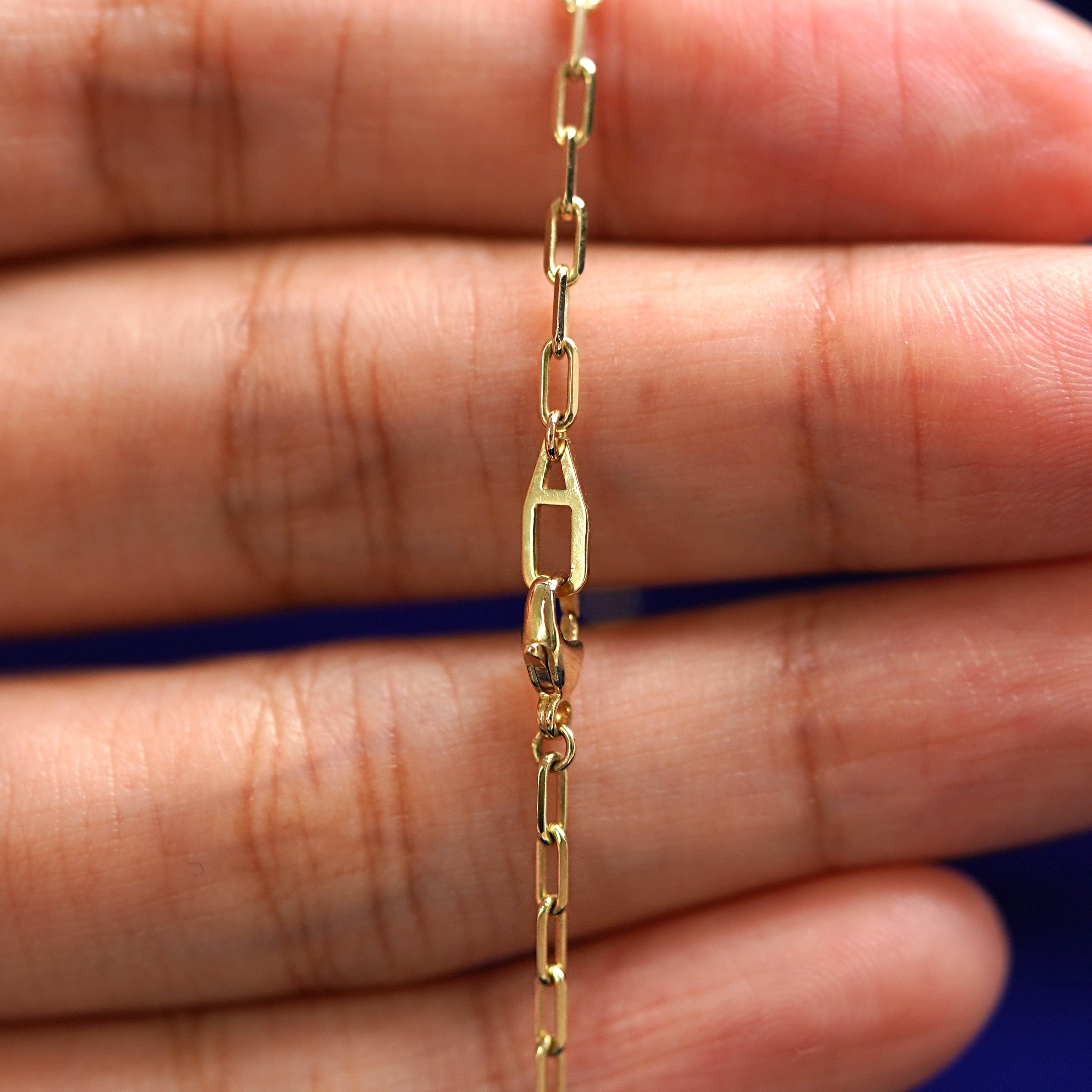 Automic Gold Studio Butch Anklet