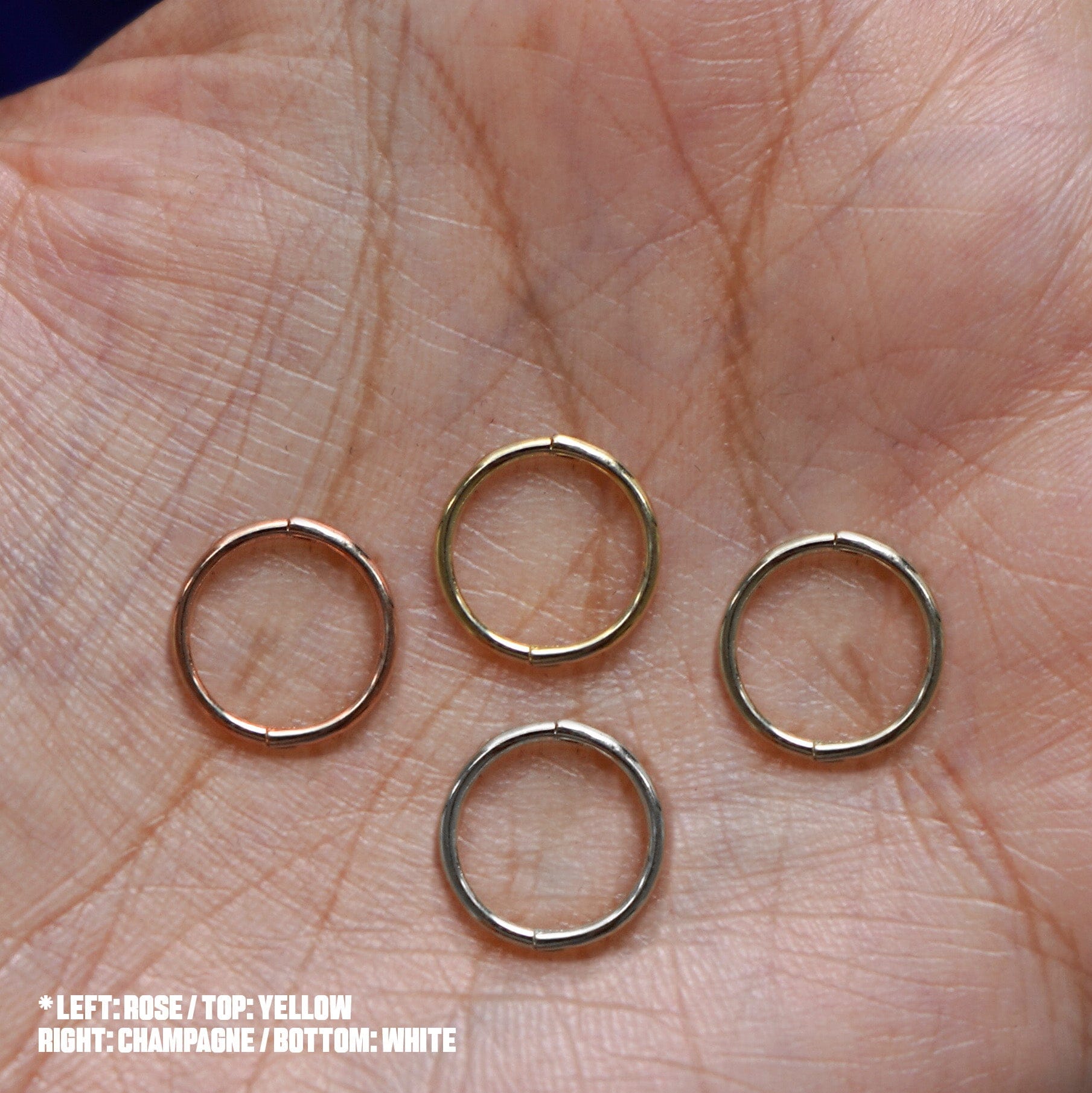 Automic Gold Studio Medium Seamless Huggie Hoops / Piercing