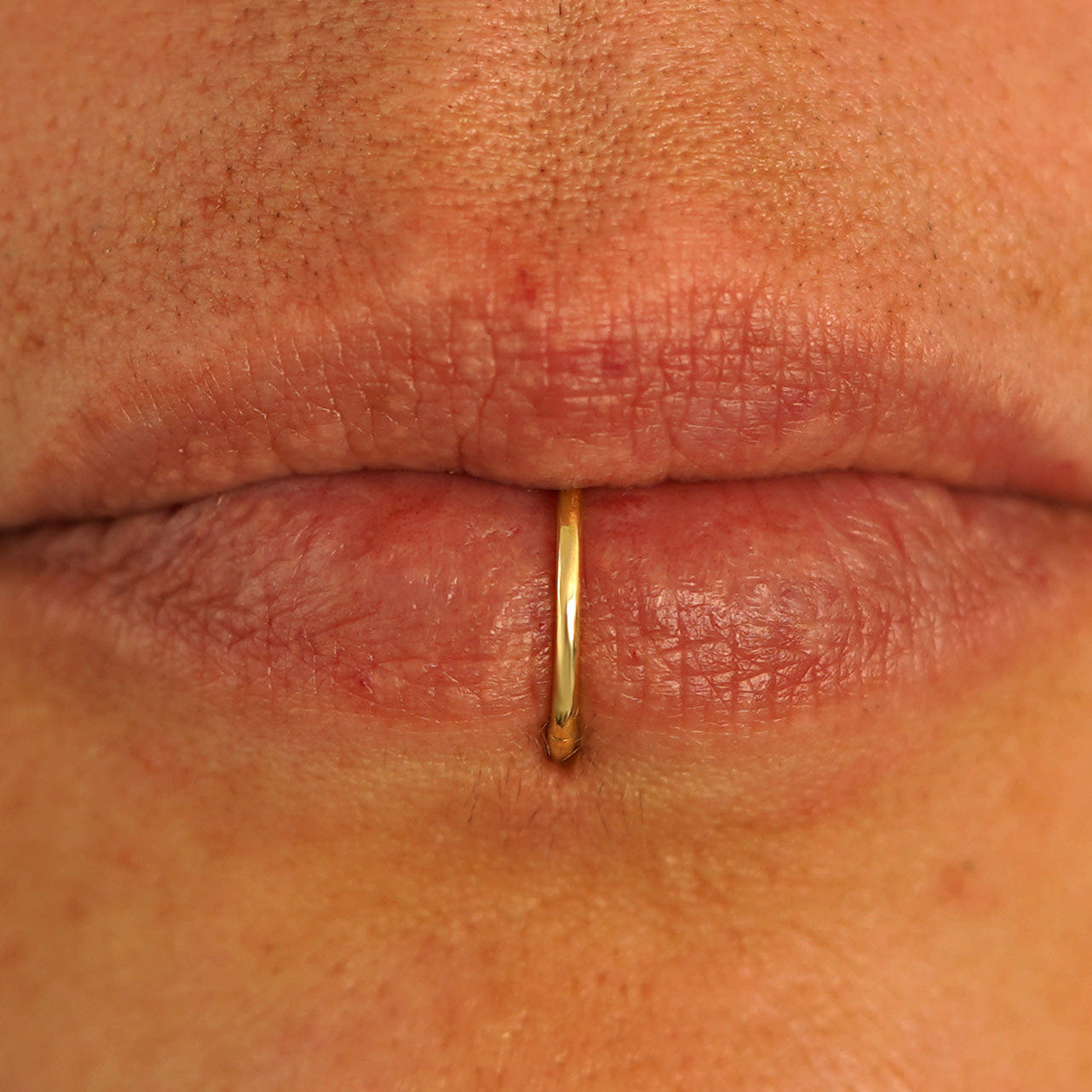 Automic Gold Studio Medium Seamless Huggie Hoops / Piercing