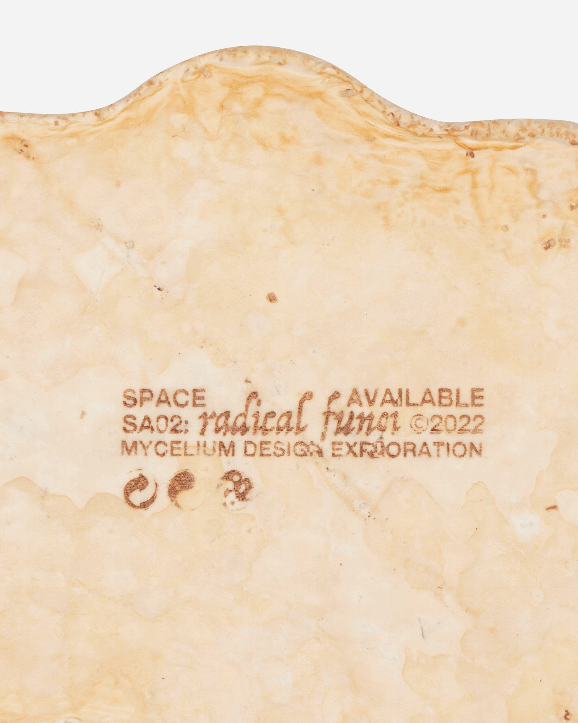 Space Available Mycelium Incense Sculpture Natural