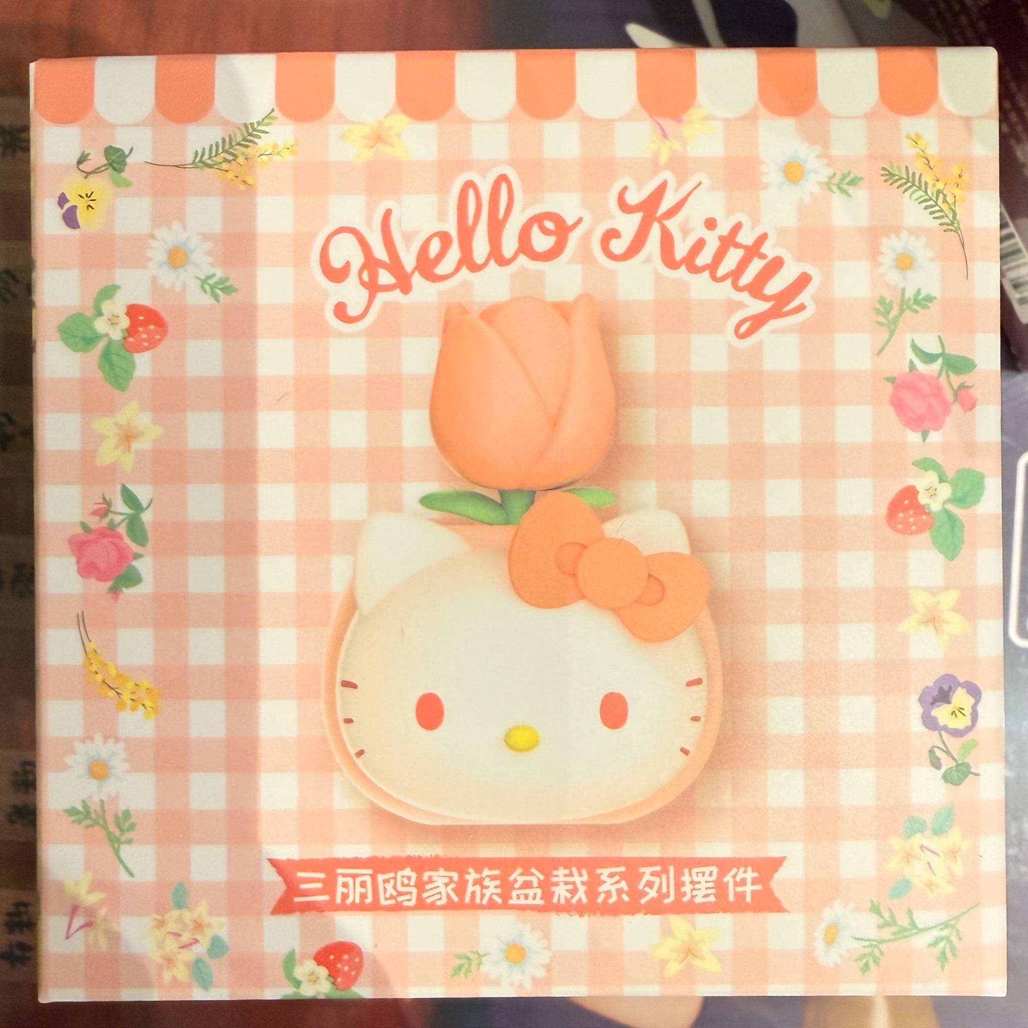 Taropudding Hello Kitty - Hello Kitty and Friends - Flower Pot Storage Figurine Single Box by Sanrio
