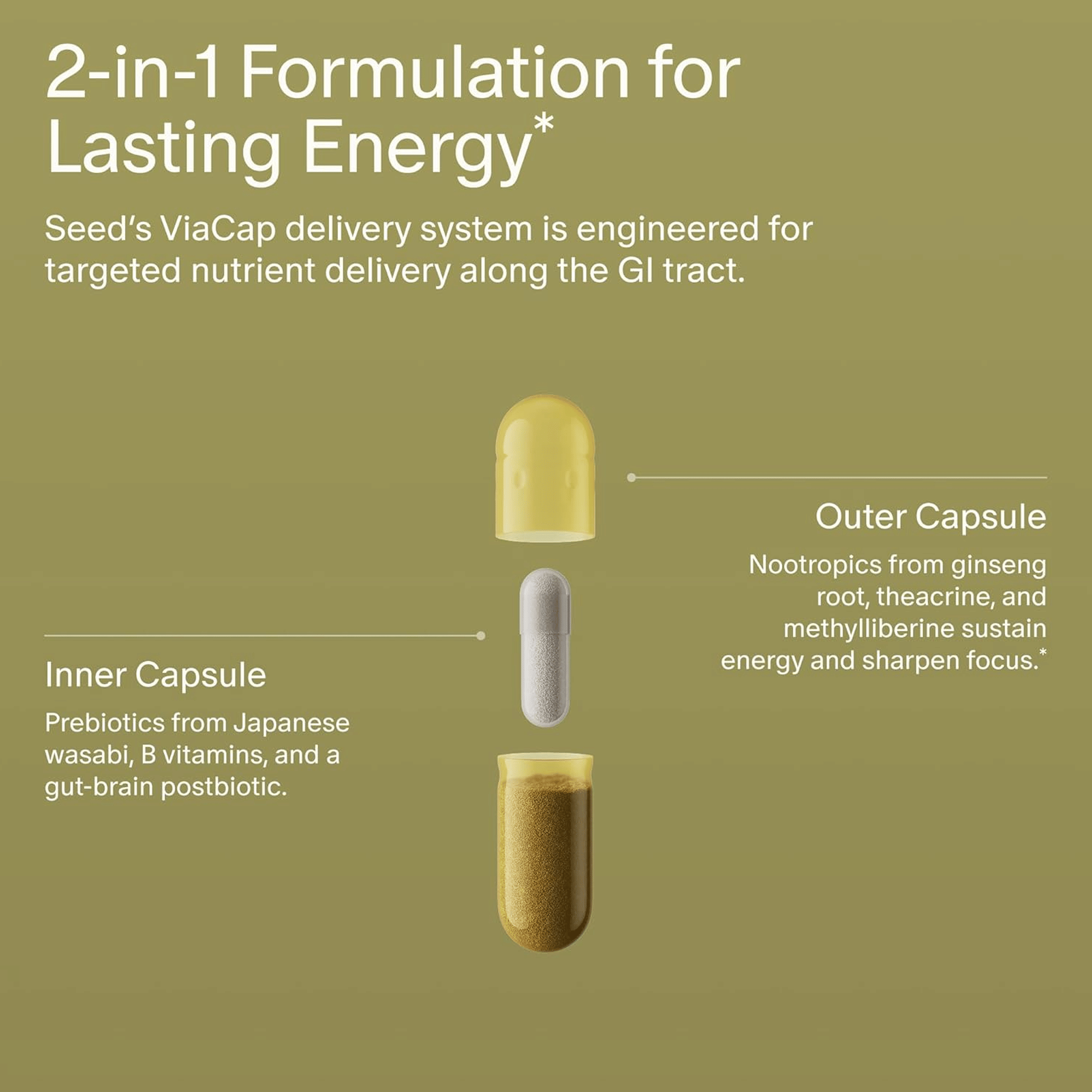 Seed AM - 02 Energy + Focus Daily Nootropic Supplement For Women & Men Fast - Acting & Sustained Energy For Up To 6 Hours Caffeine - Free Vegan & Shelf - Stable (30 - Day Supply)