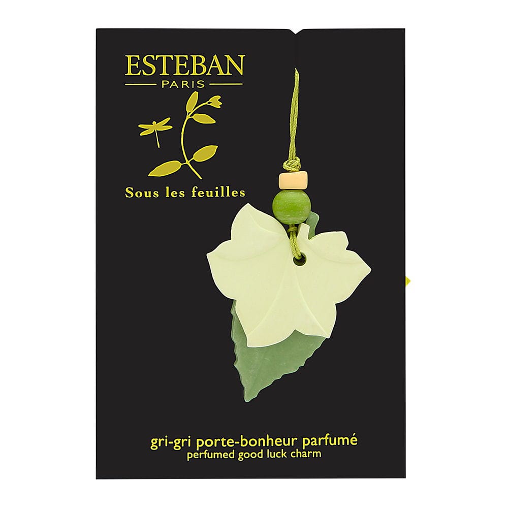 Esteban Esteben Sous Les Feulles Scented Bouquet Haute Couture Diffuser 8.3 oz