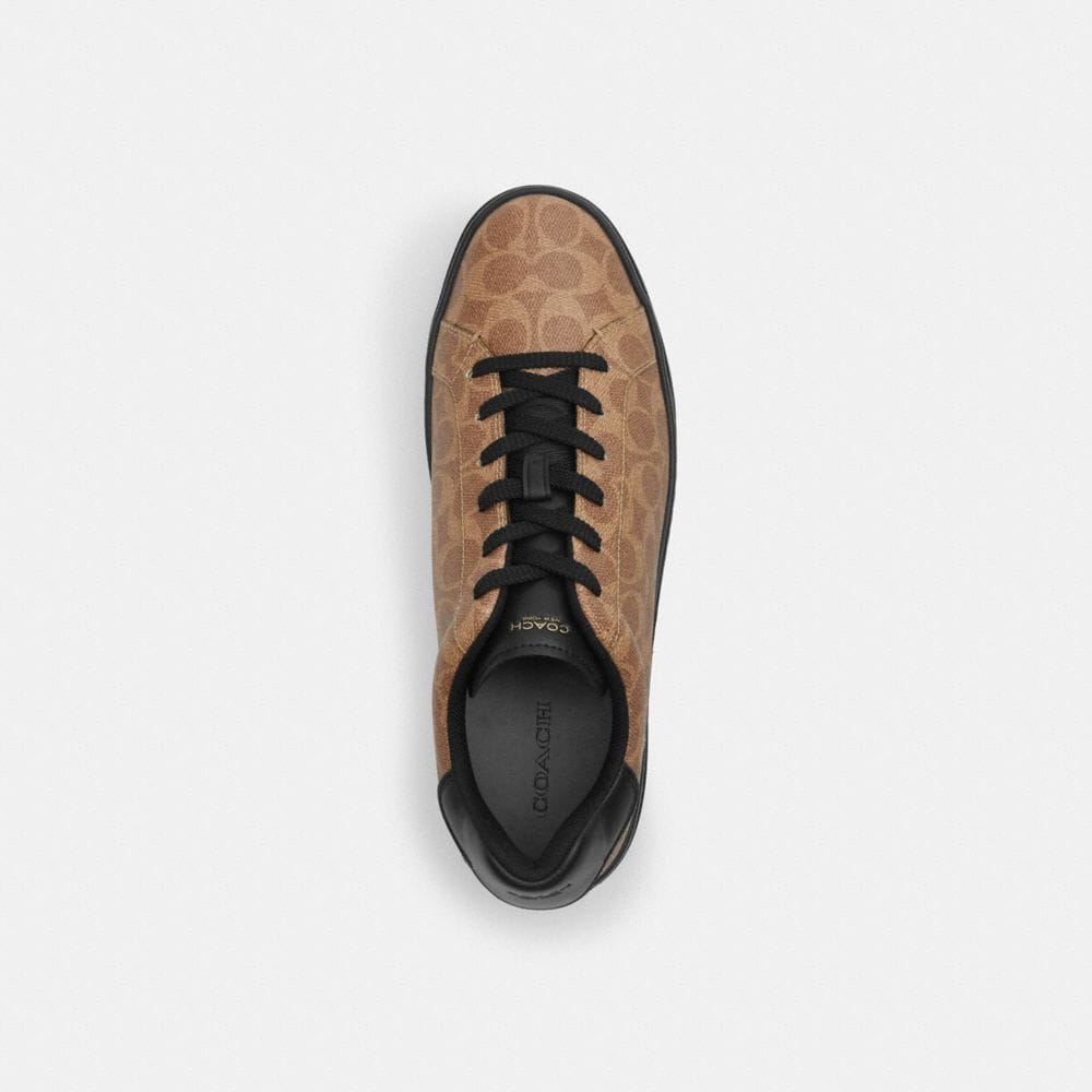 High Line Sneaker — Part 2