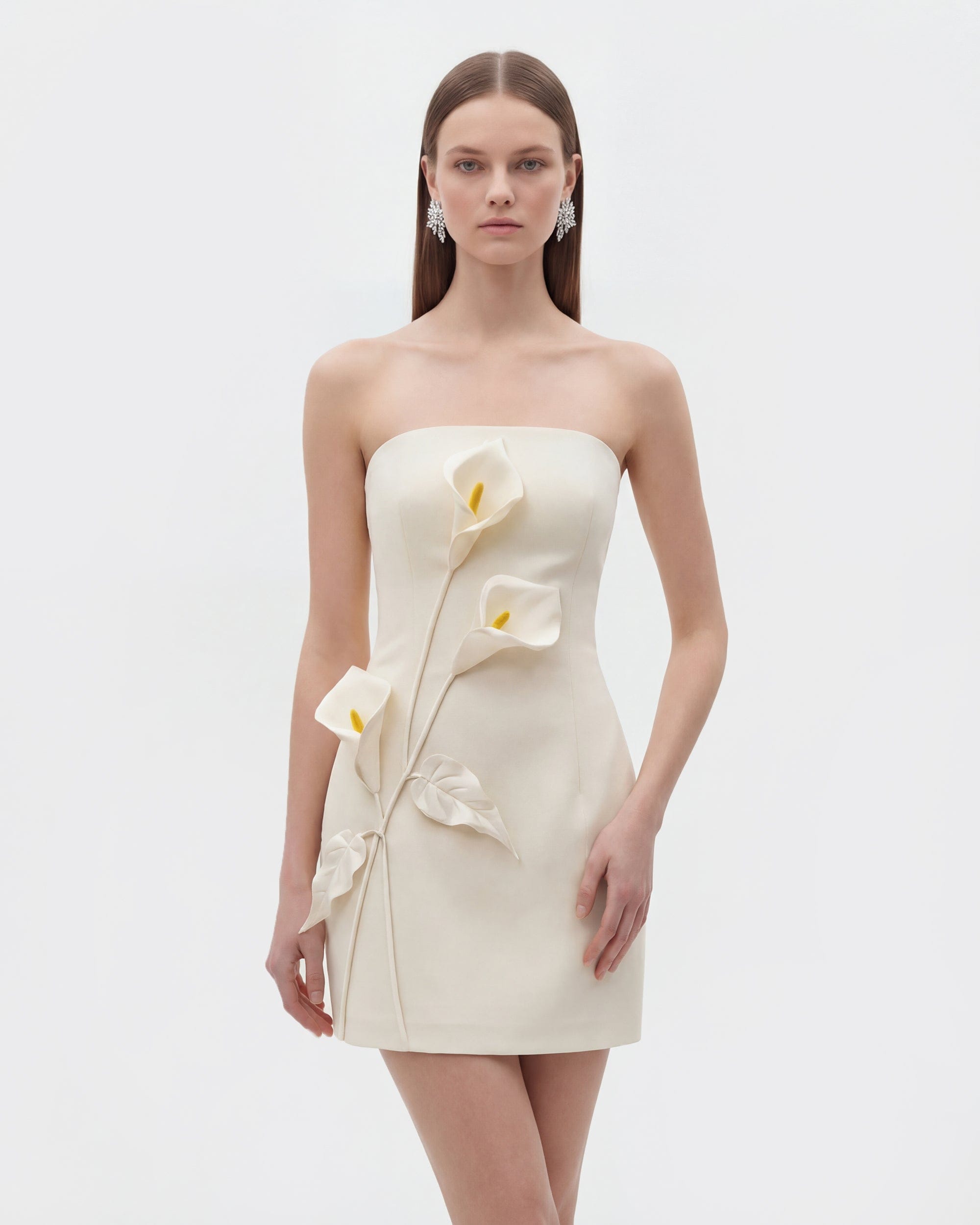 Strapless Floral Appliqué Dress - Black