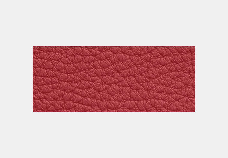 Zip Card Case