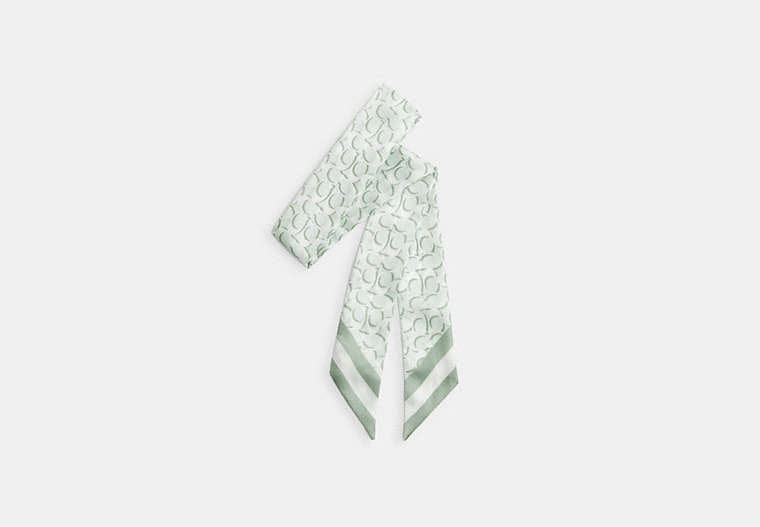 Signature Print Silk Skinny Scarf