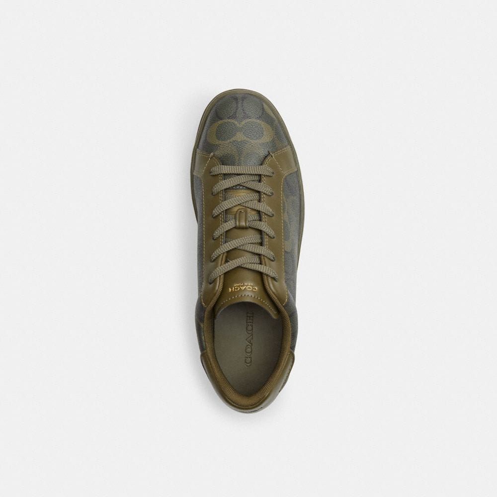 High Line Sneaker In Signature Canvas