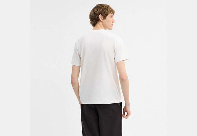 Signature T-Shirt In Organic Cotton