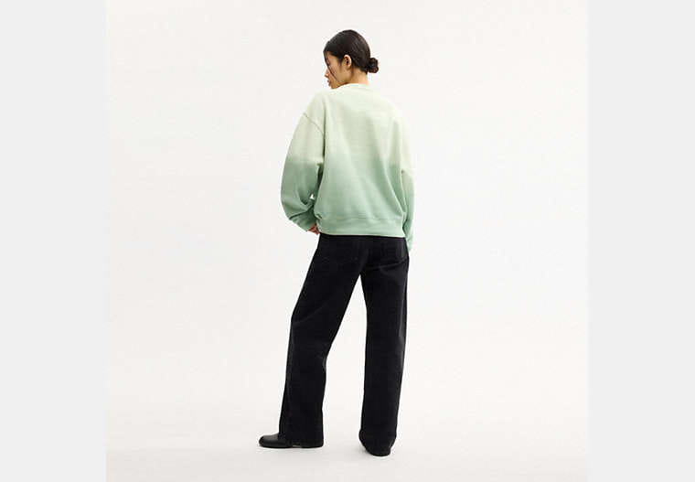 Ombre Sporty Crewneck Sweatshirt In Organic Cotton