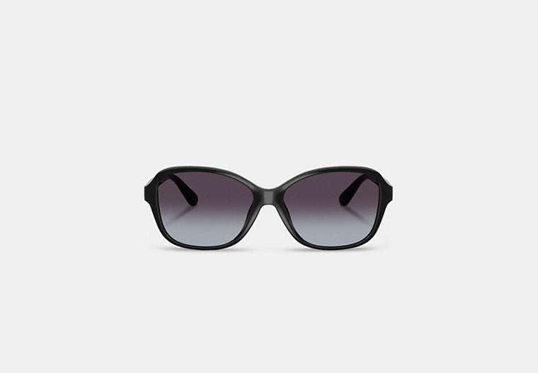 Oversized Oval Sunglasses