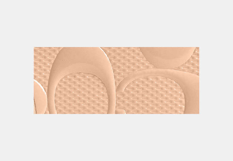 Zip Card Case In Signature Leather With Charm